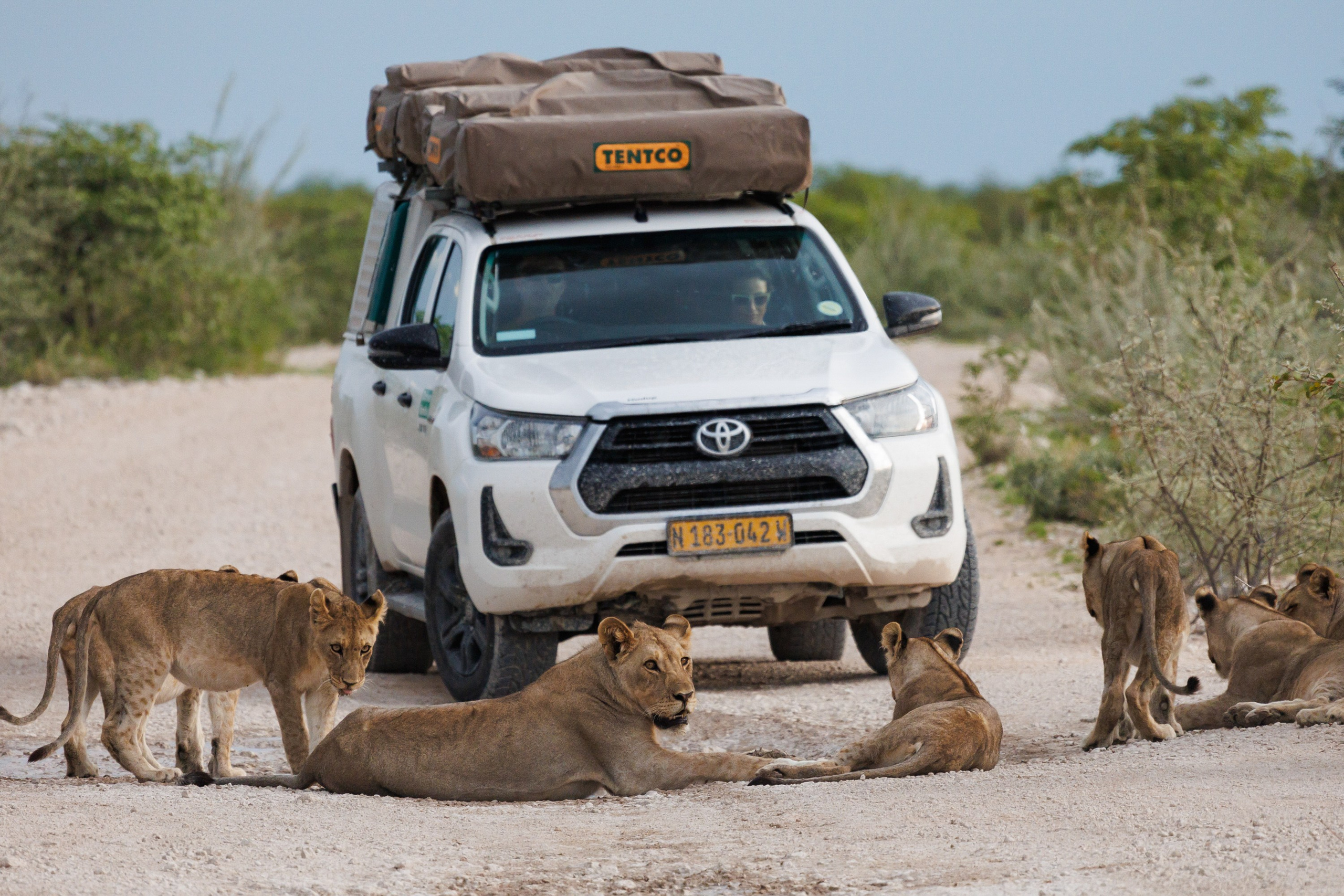 НАМИБИЯ. Роадтрип