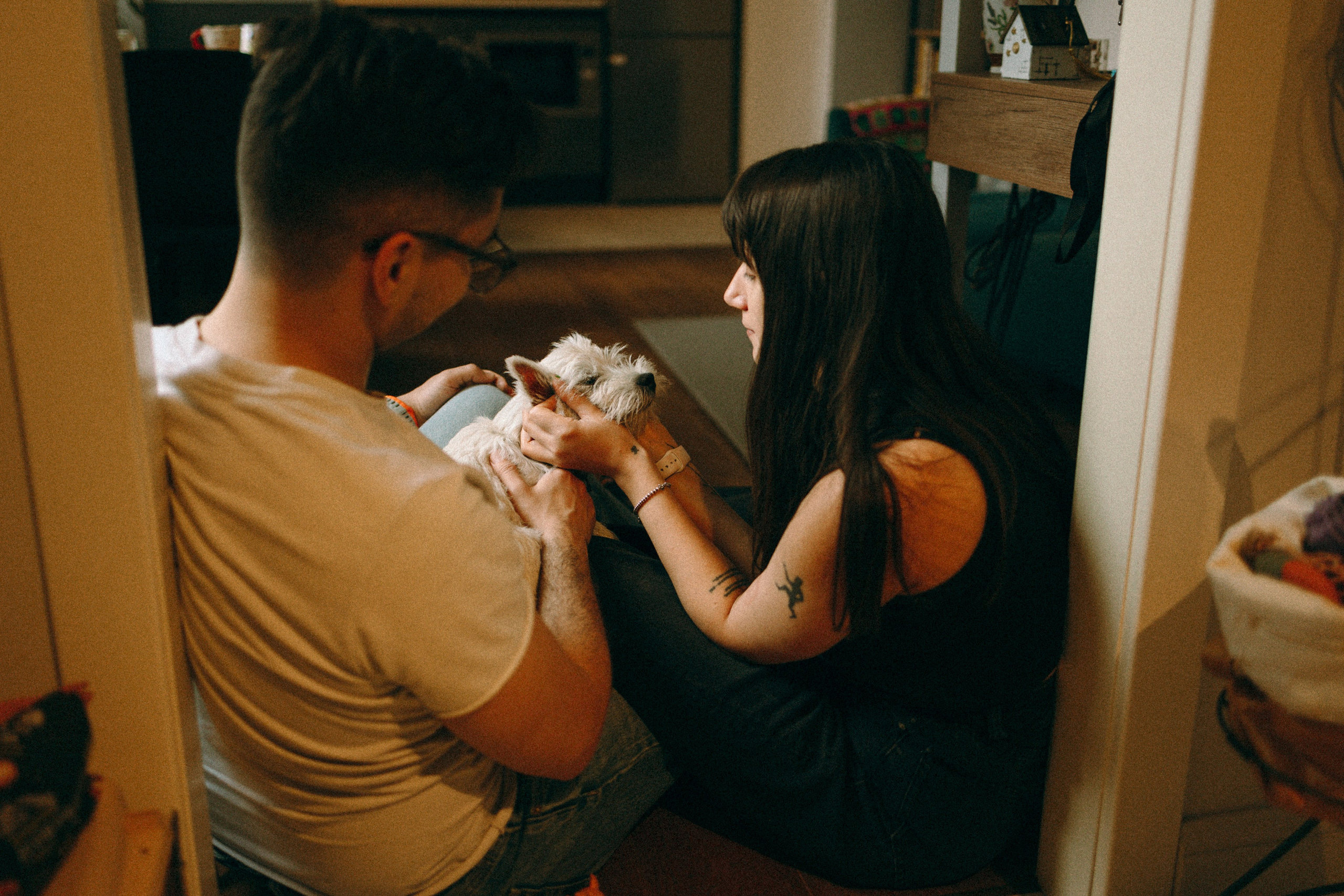 Снежуля, Мари и Саша. Фотограф анималист Анастасия Пикей