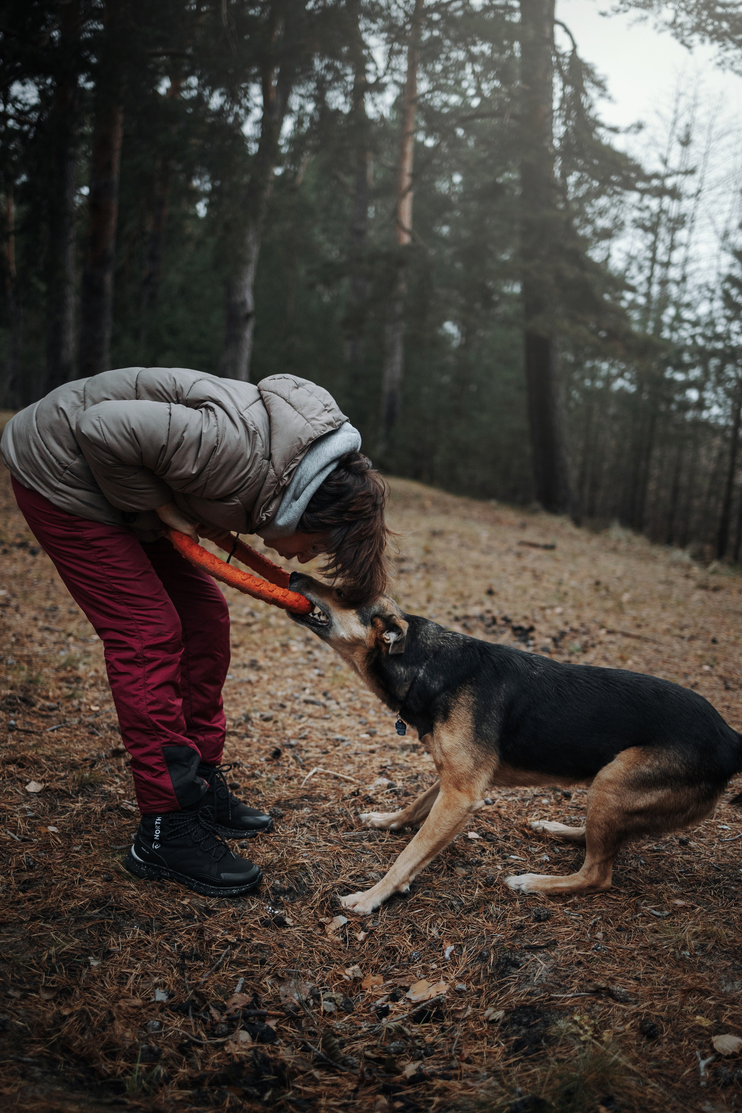 Наталья и Того. Фотограф — Анималист | Санкт-Петербург