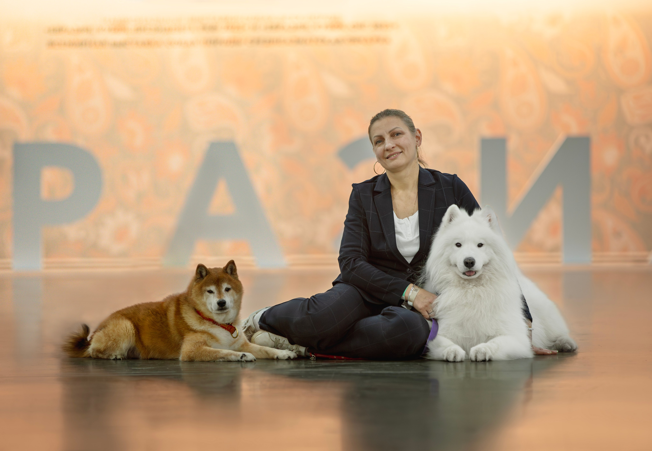 Выставки. Фотограф анималист в Москве Майорова Евгения
