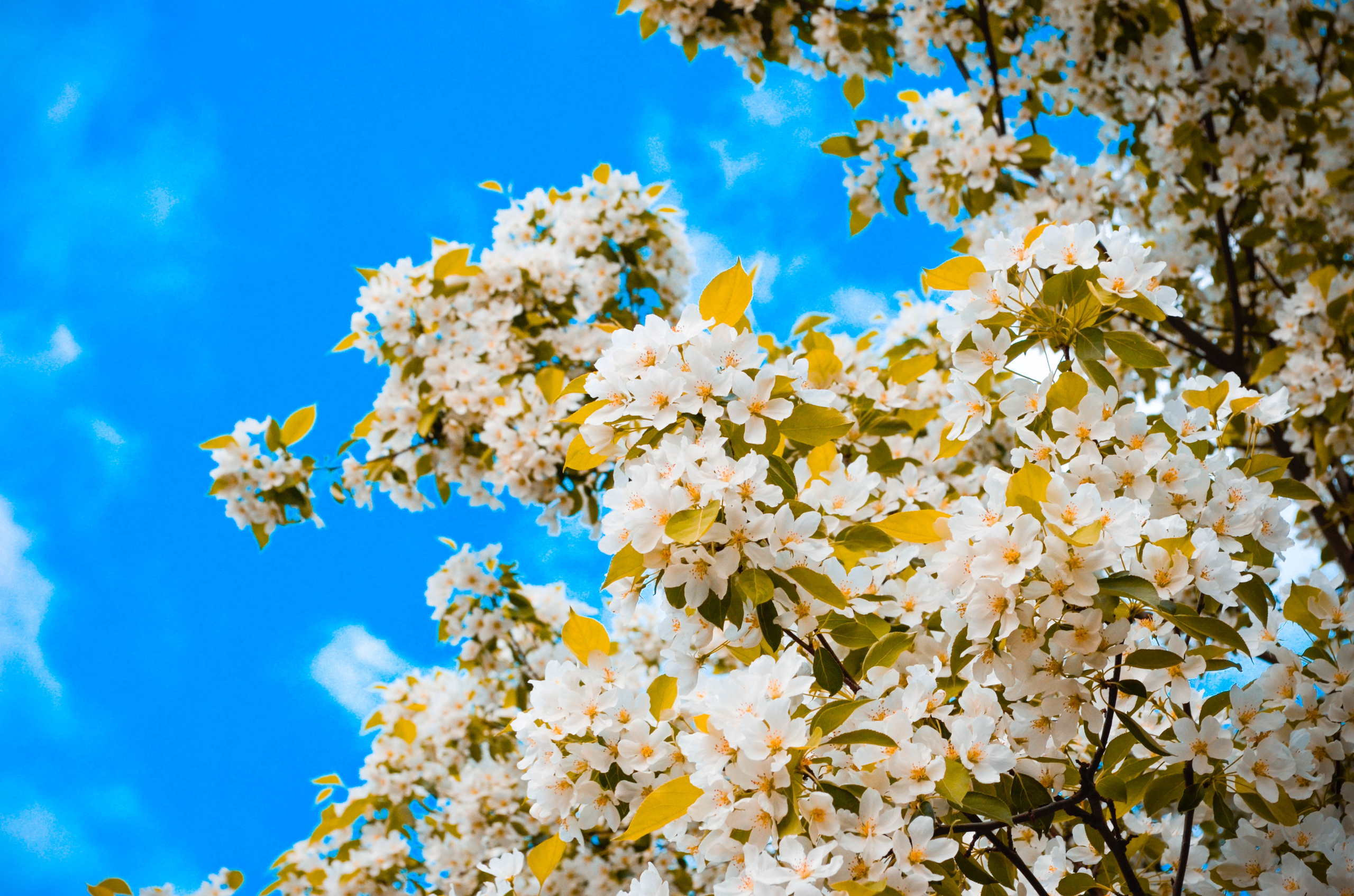 Природа. Александр Снапков | SnappPhoto | Буй