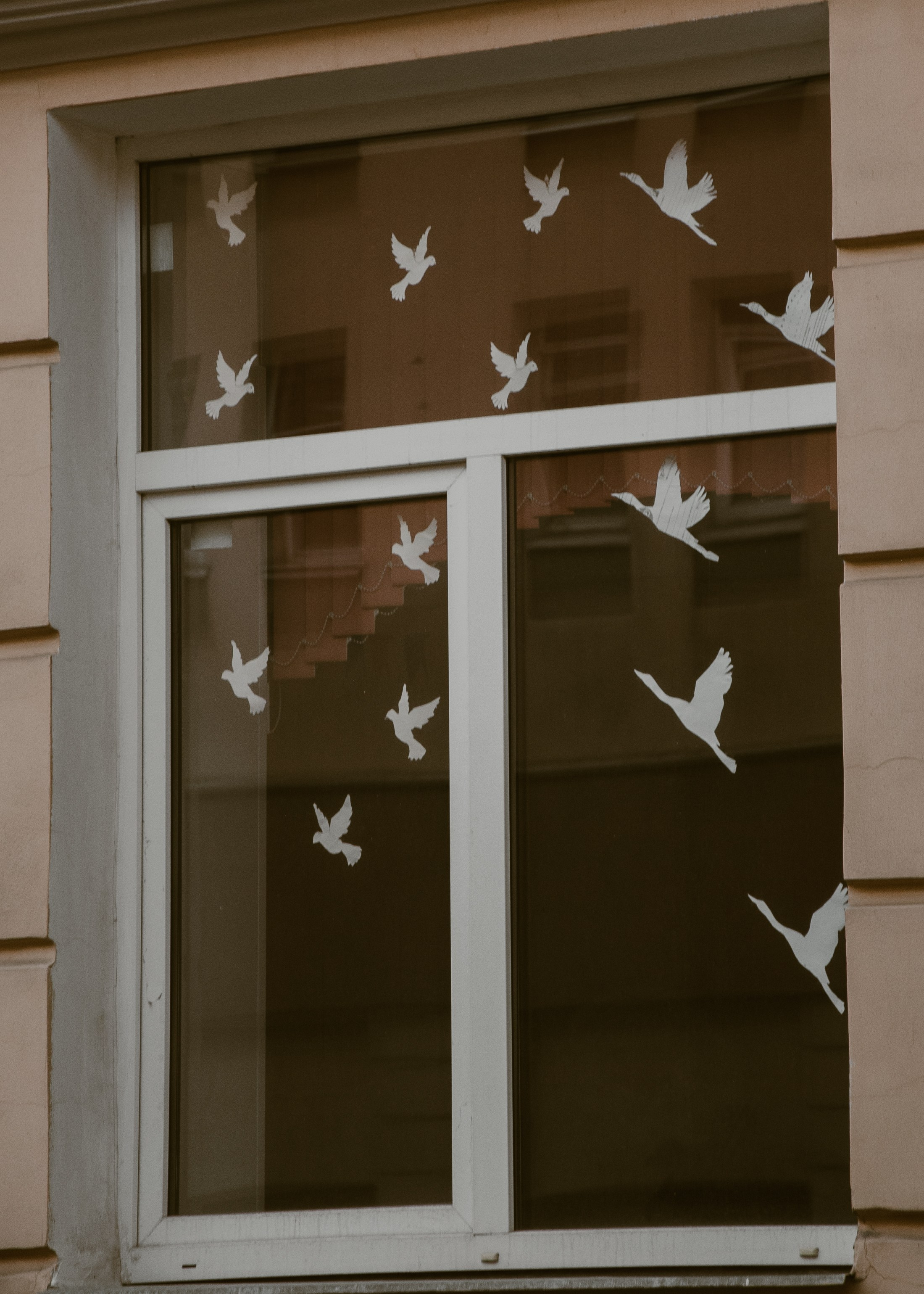 Питер. Портретный фотограф DanilNabody