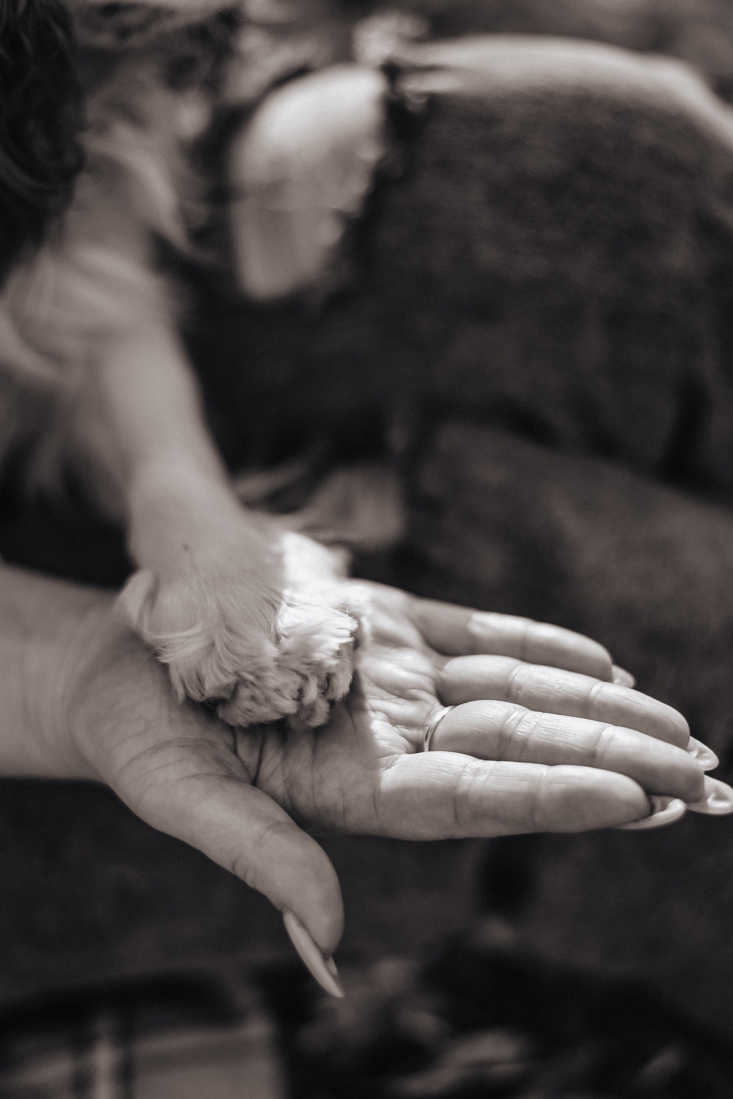 Аня + Арни. Фотограф в Москве и Королёве Сутягина Мария