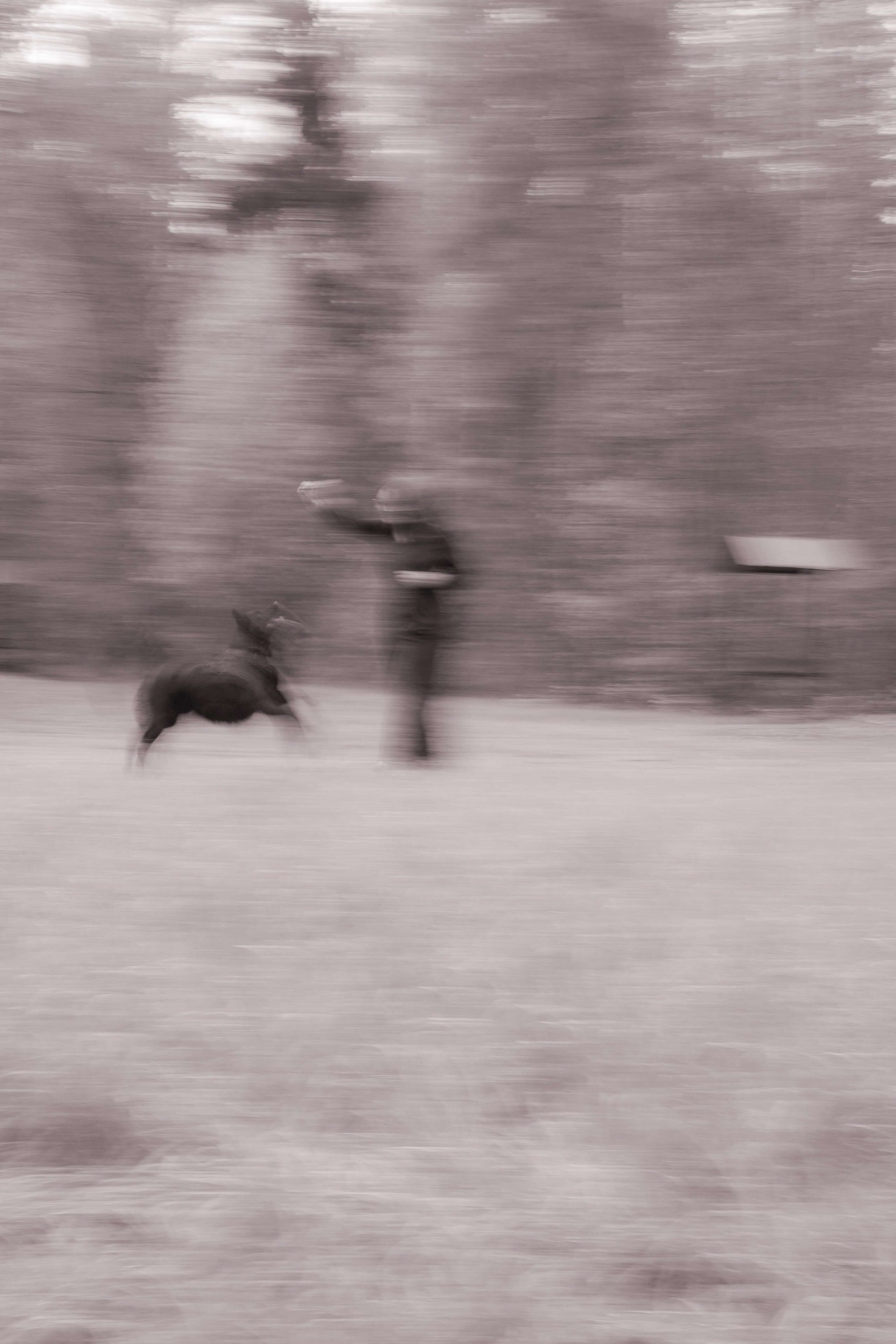 Даша и Дэни. Художественная фотография