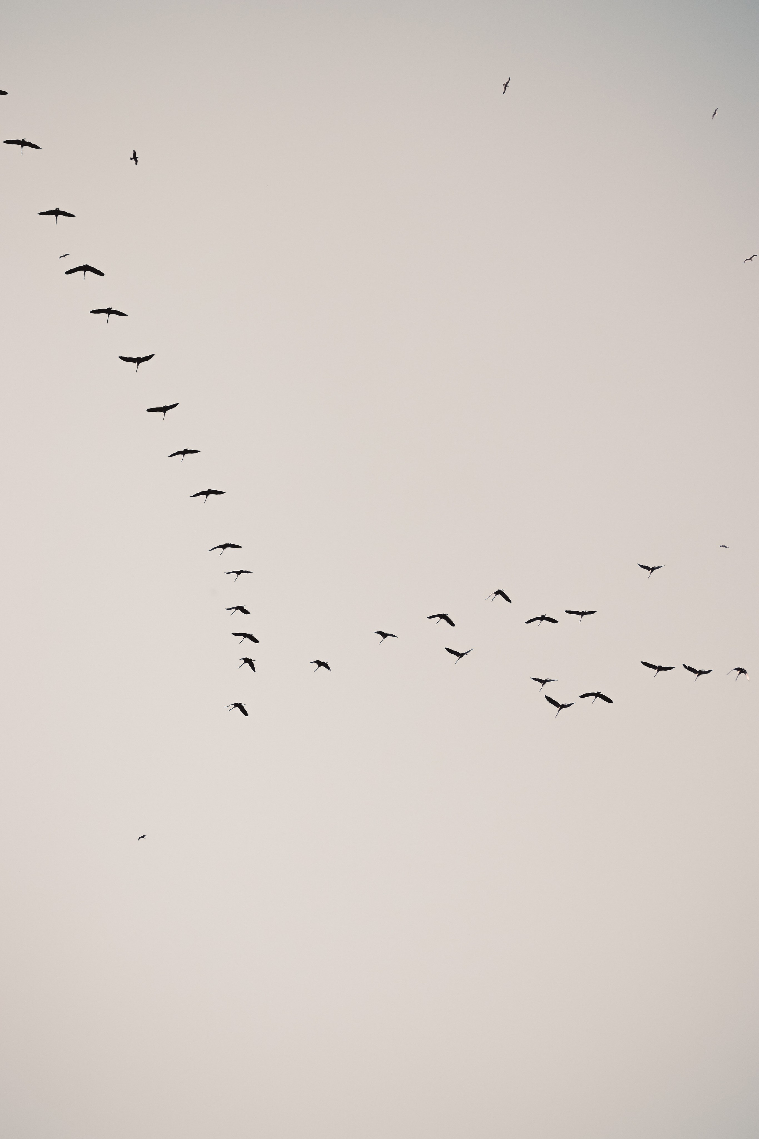 М И Н И М А Л И З М. — Digital Noise —