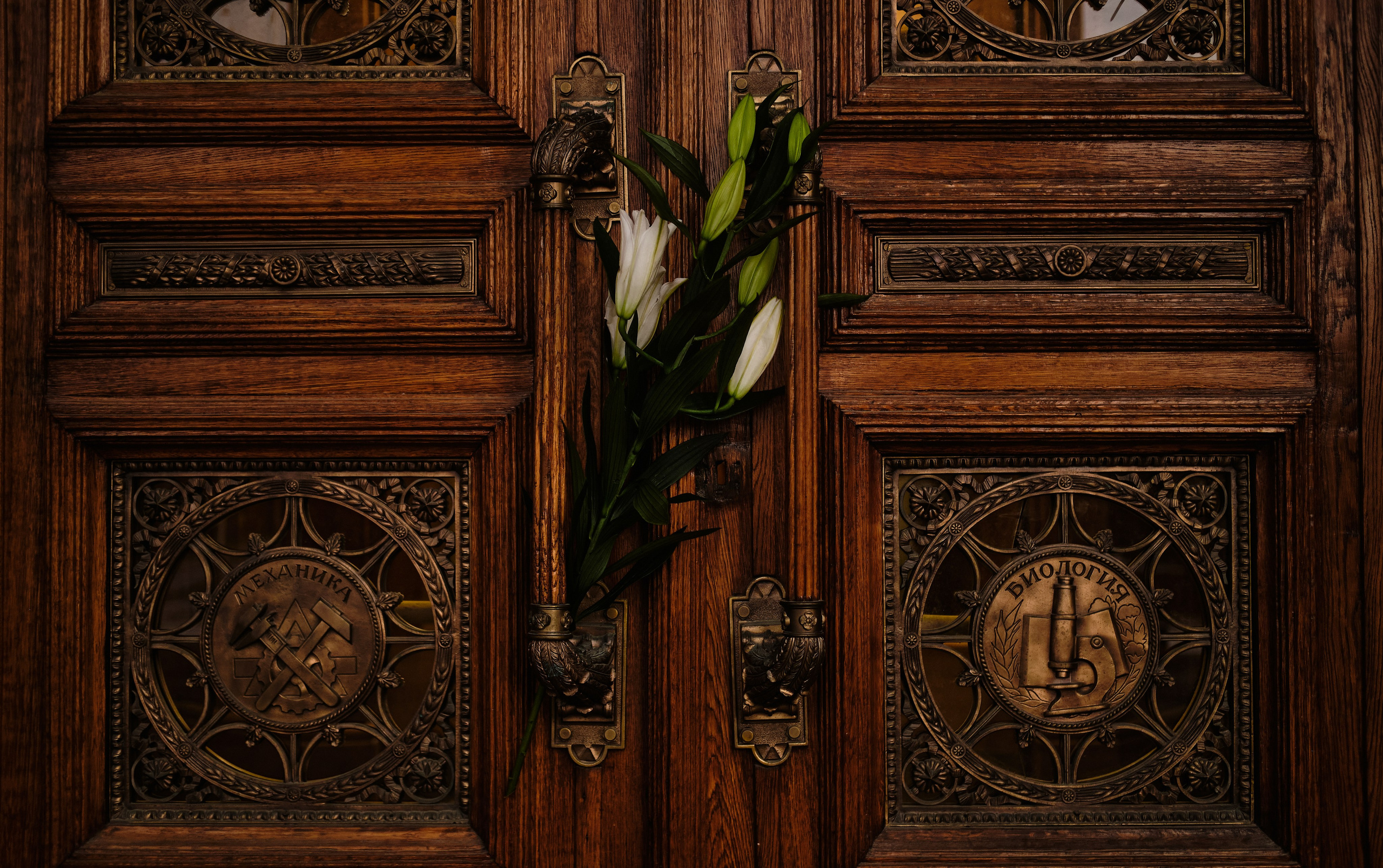 Лера. Портретный и репортажный фотограф в Москве Алёна Никогосян