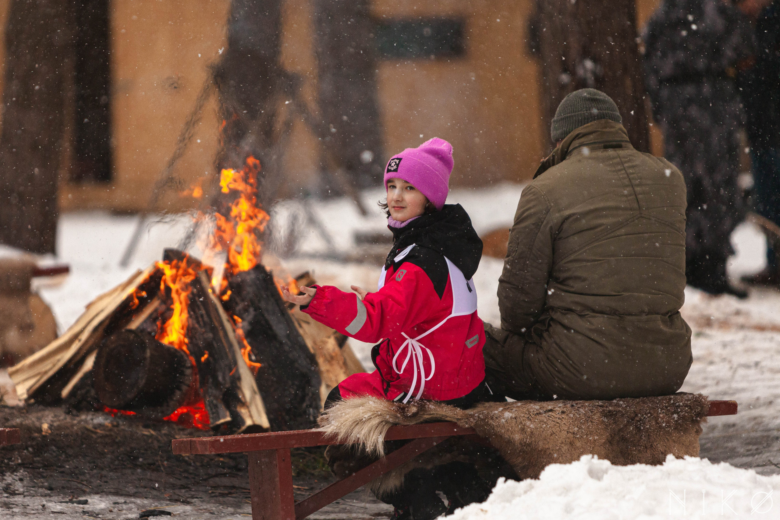 Гонка с собаками «Аврора Бореалис». Фотограф Николь Фолиянц
