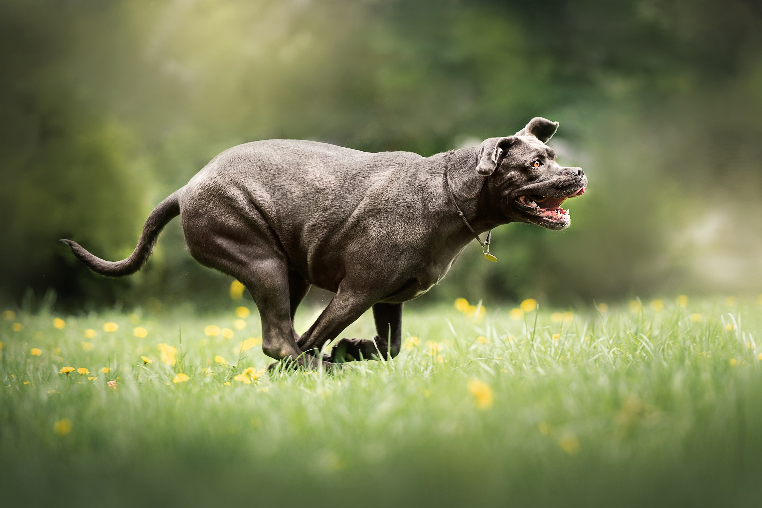 Кристина и Тея. Семейный Фотограф в Москве Ирина Хохлова