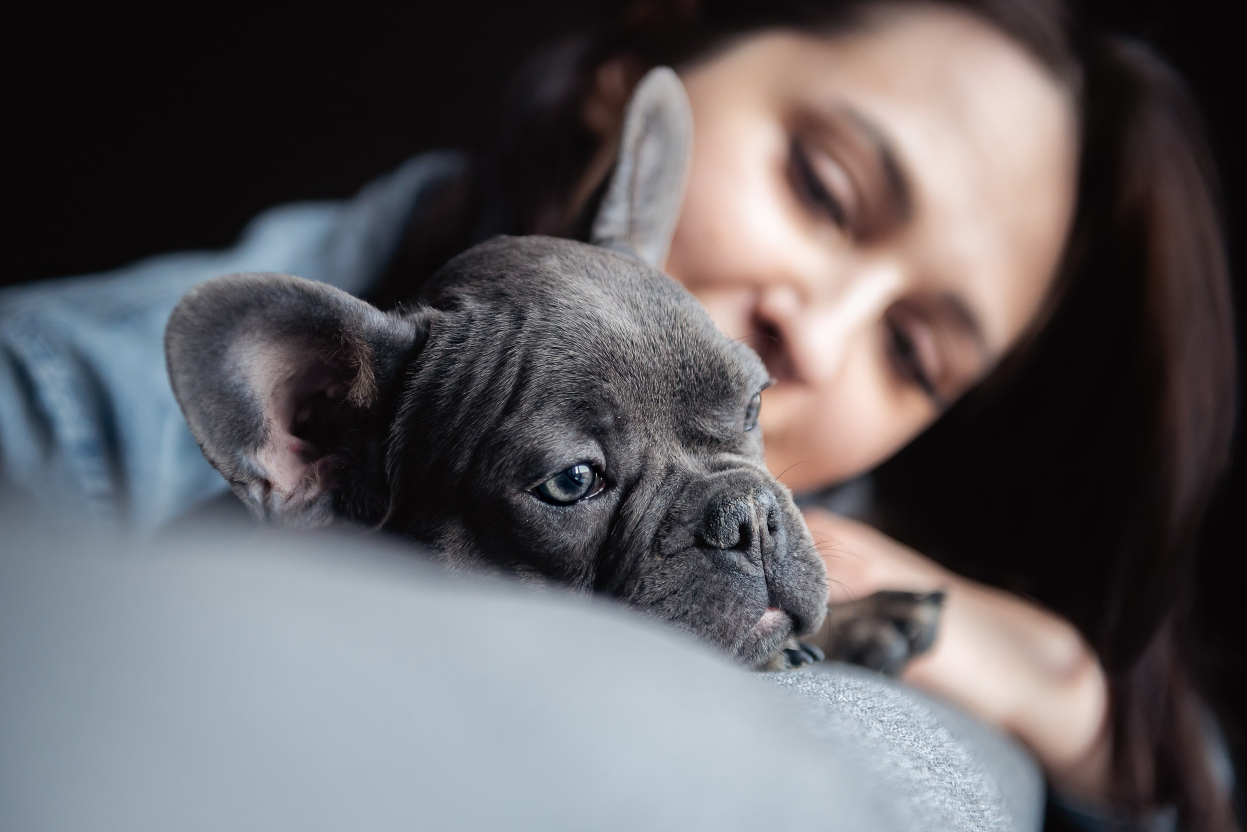 Бульдоги и компания. Семейный Фотограф в Москве Ирина Хохлова