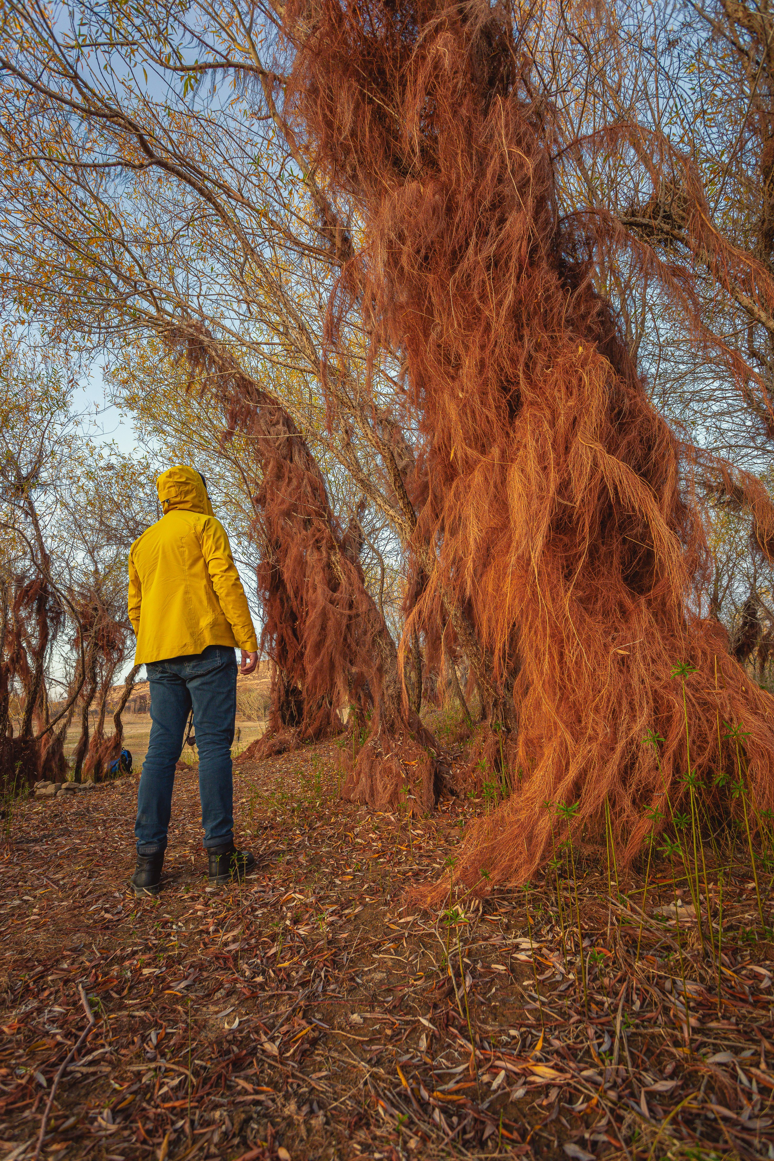 Пейзажная фотография. Фотошкола ArtFotoLife для начинающих и продвинутых фотографов