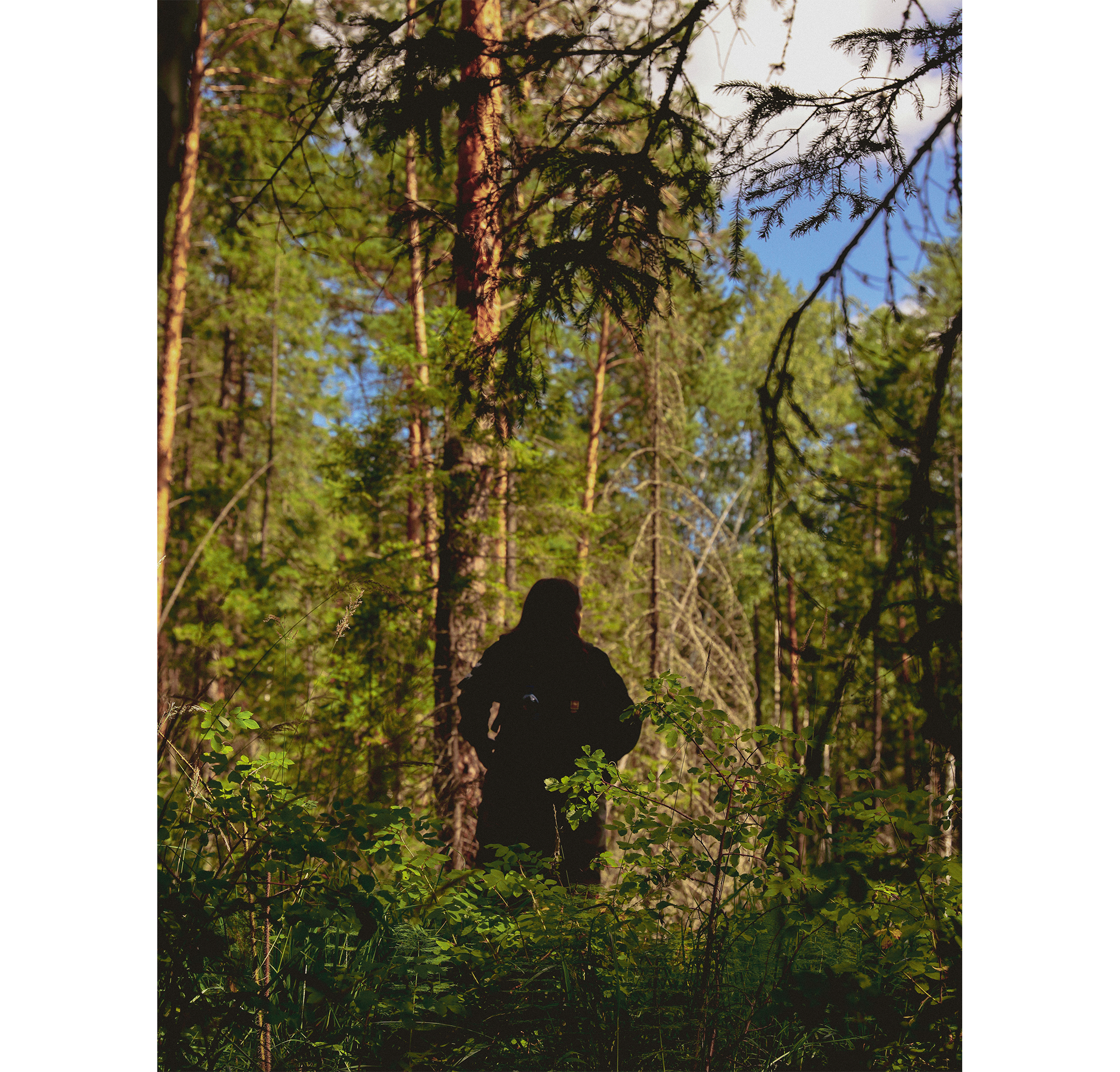 Summer hike. Фотограф/дизайнер в Екатеринбурге Хитрый Дмитрий