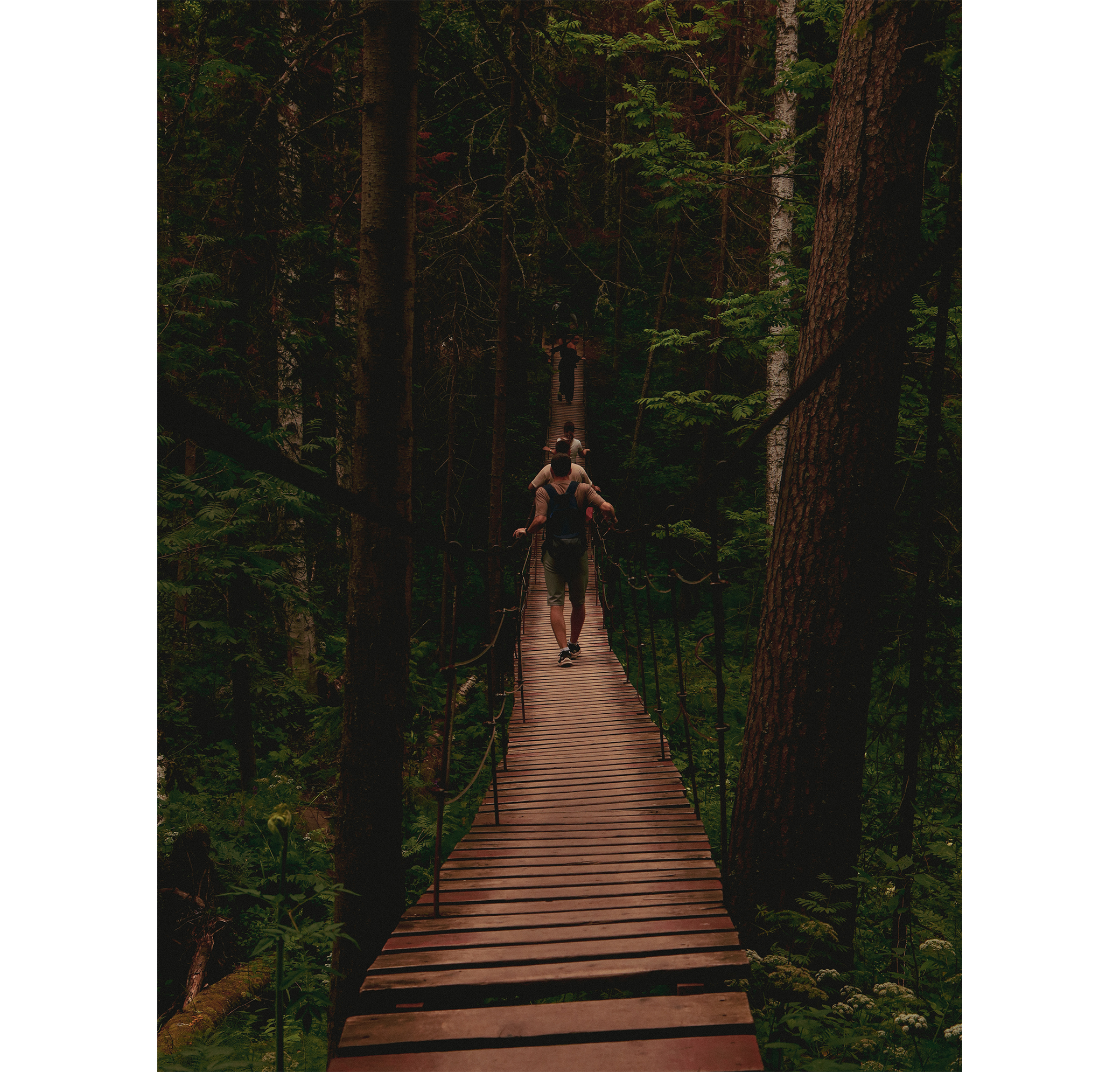 Summer hike. Фотограф/дизайнер в Екатеринбурге Хитрый Дмитрий