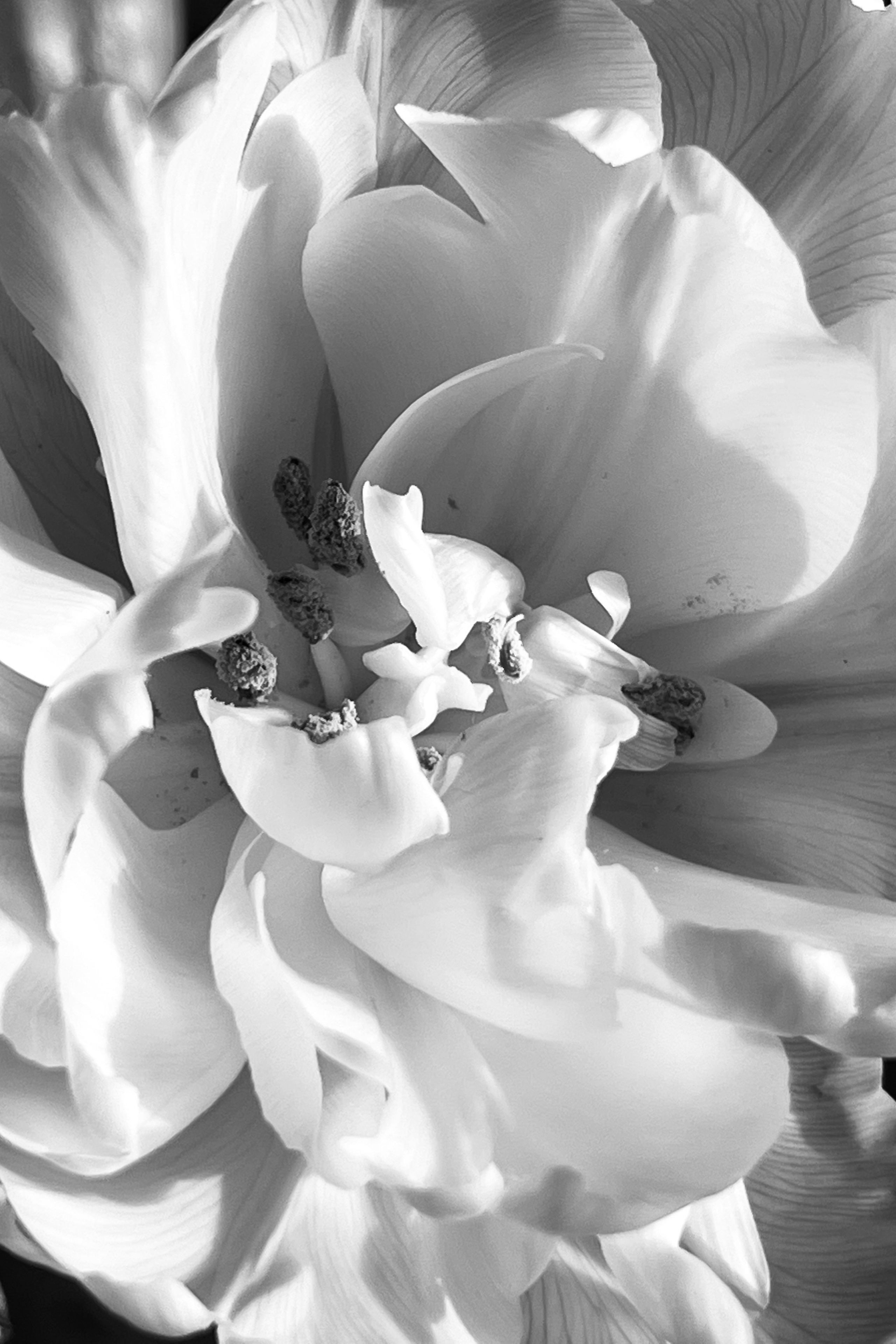 Женский портрет. Екатерина Денисова, фотограф, Москва