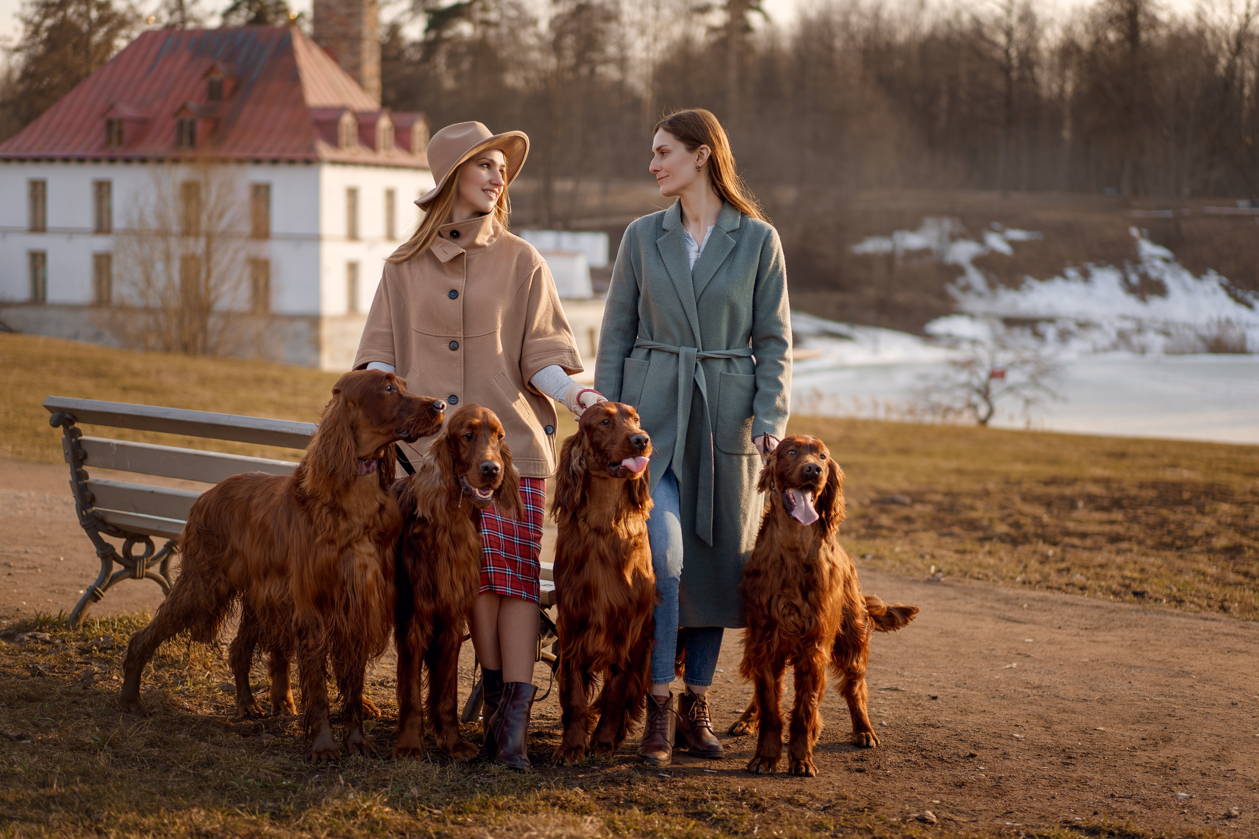Фотосессии с вашими любимцами. Фотограф Артемьева Катерина|фотосессии с лошадьми