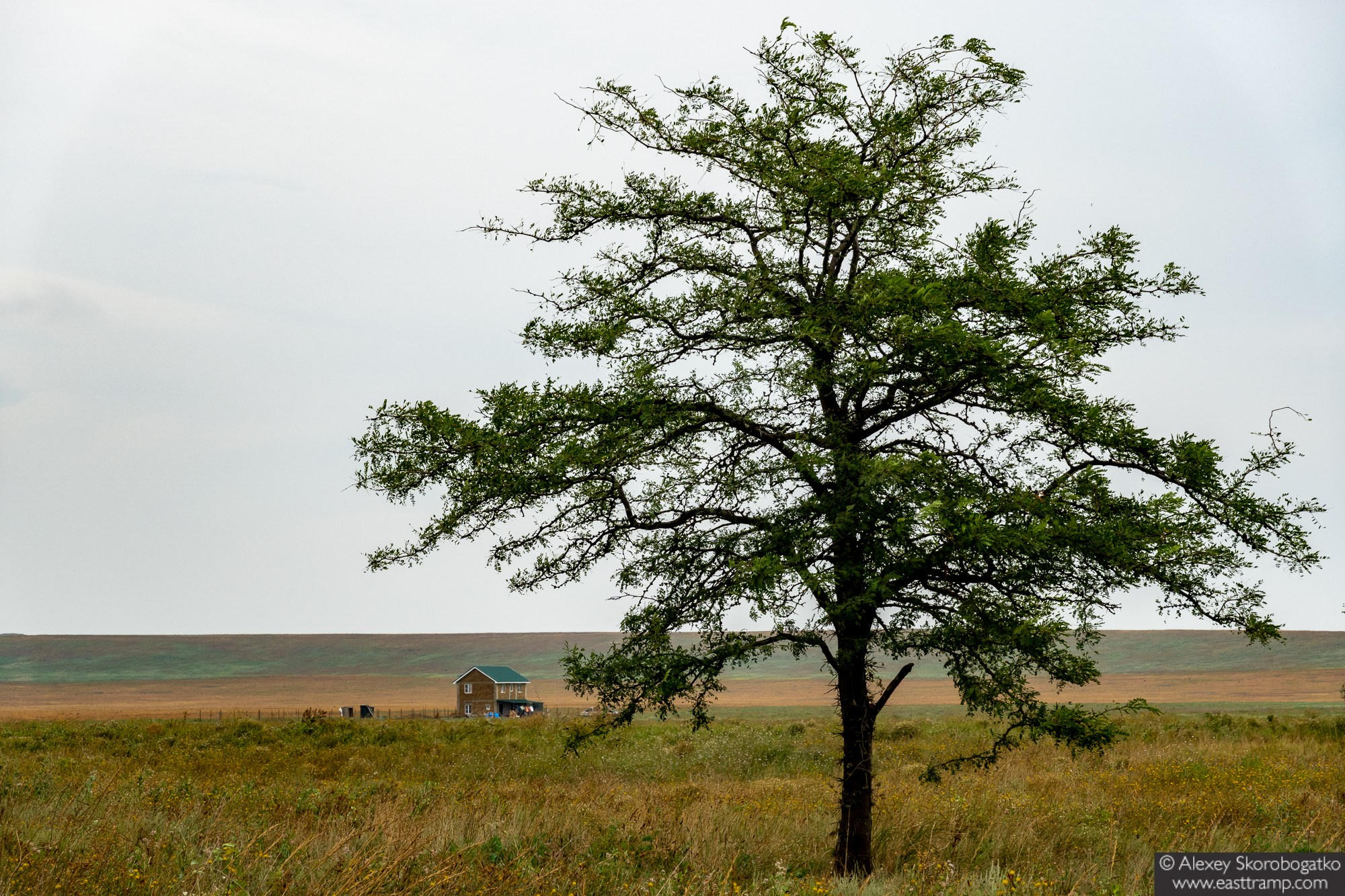 Археологические раскопки некрополя Кыз-Аул в Крыму. Фотограф Алексей Скоробогатько