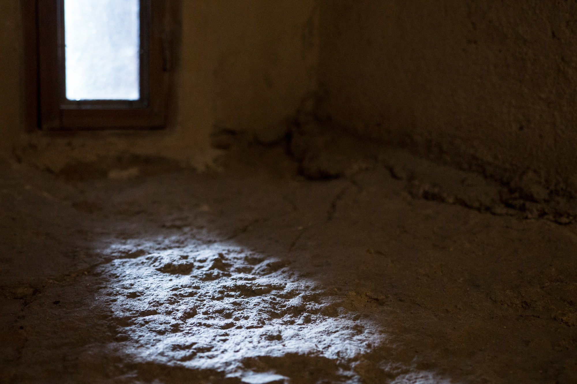 Новгород. Фотограф Алексей Скоробогатько