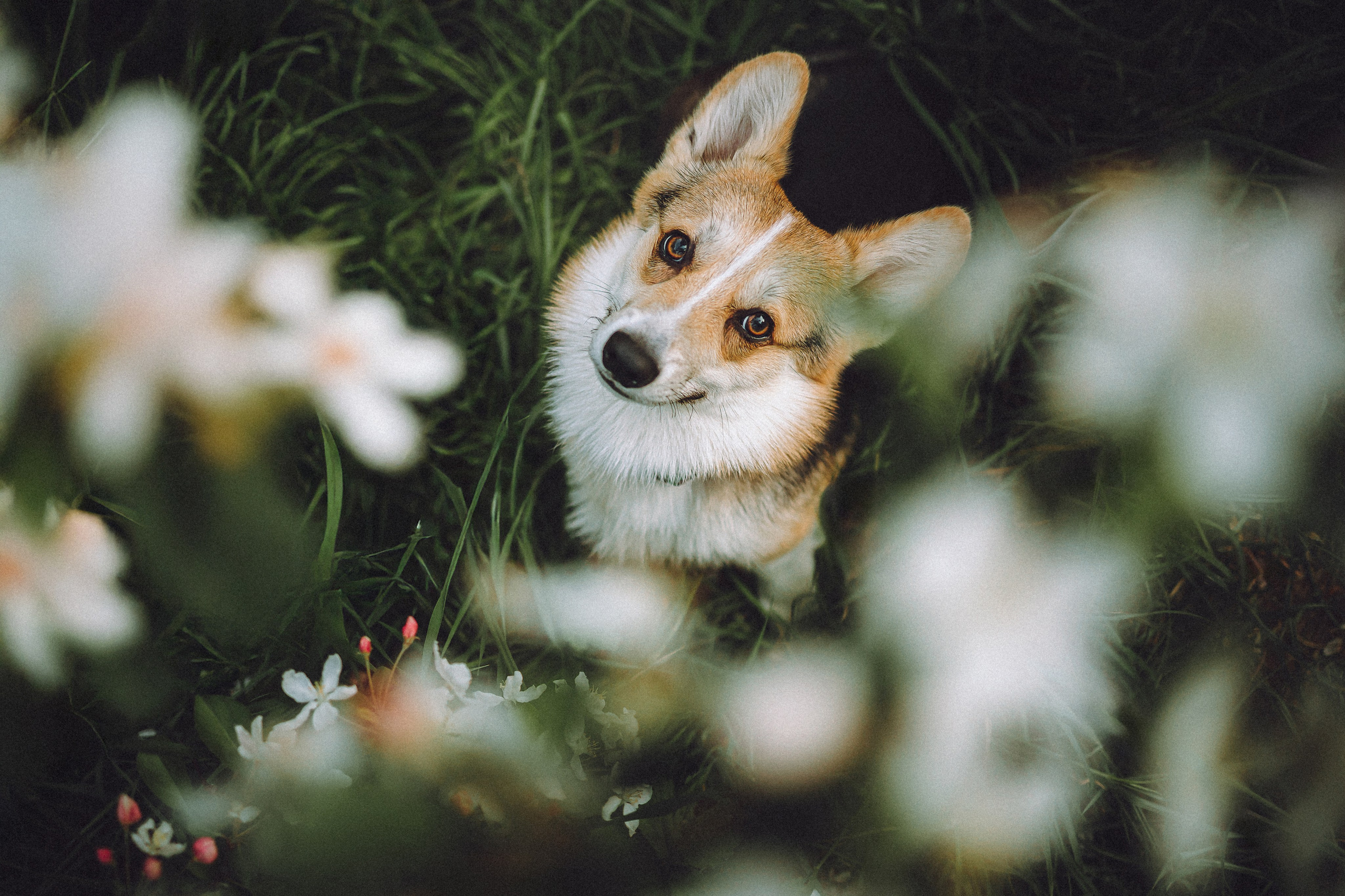 Илай, Зайка и их семья