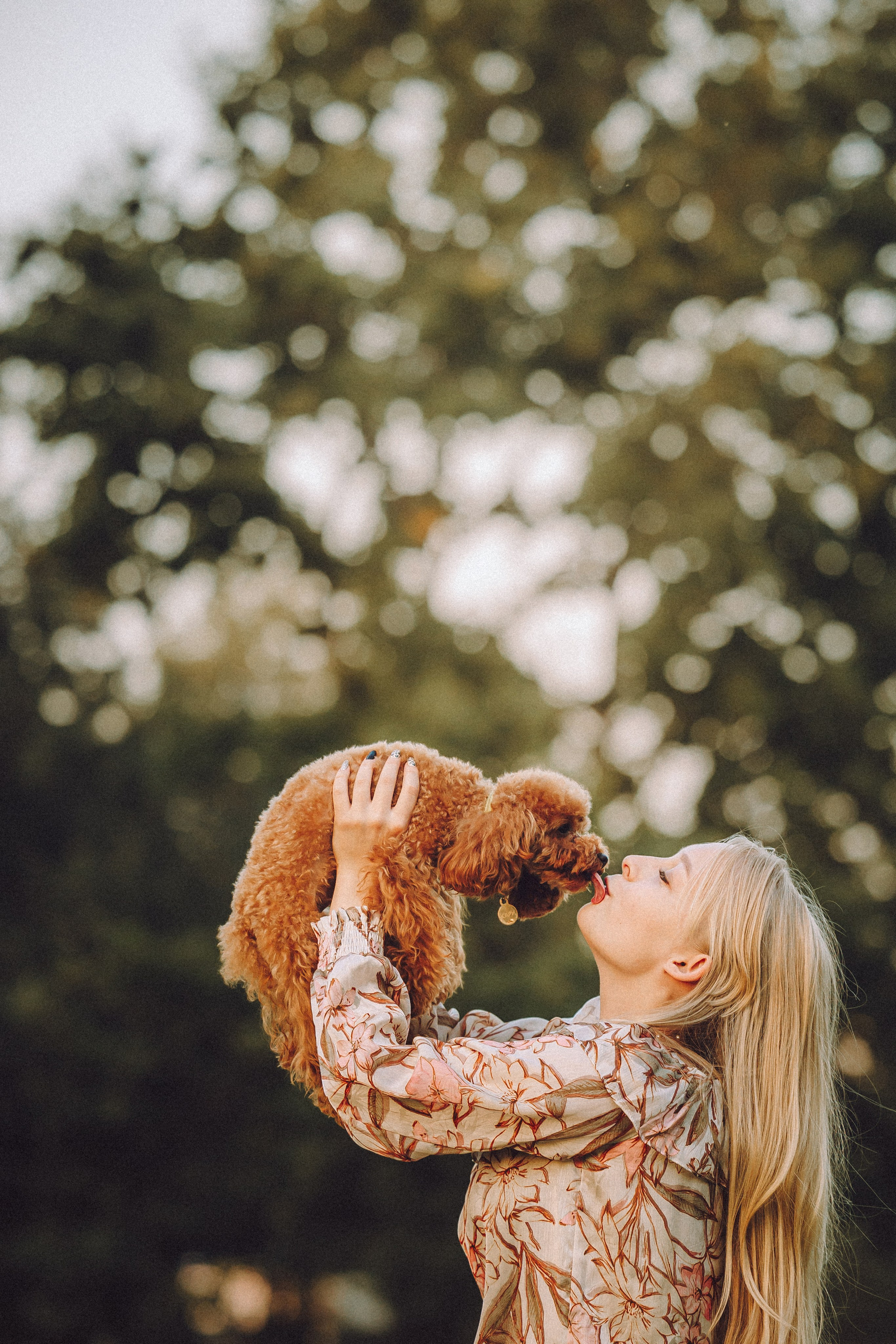 Гречка, Кари и щенки