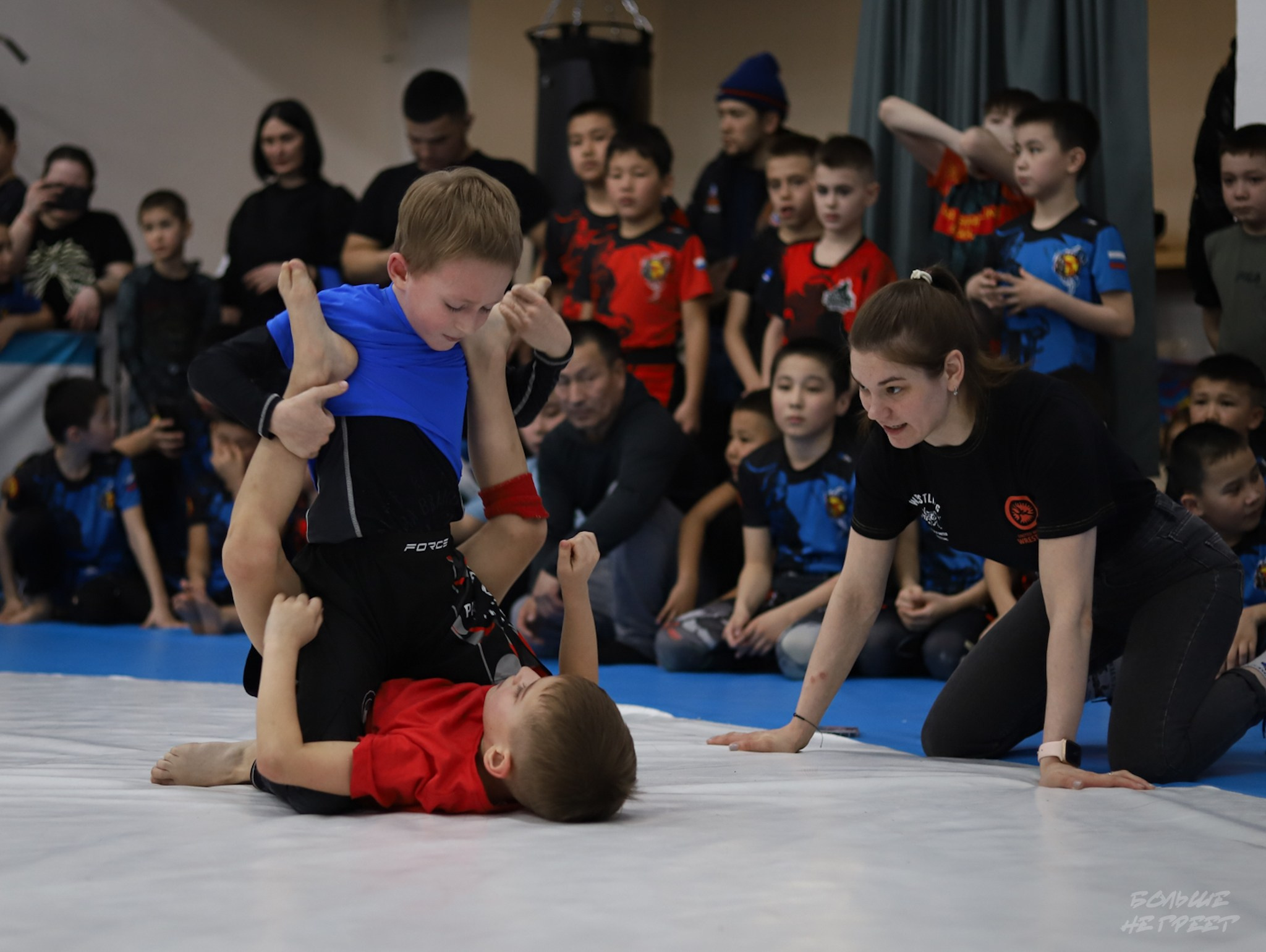 GORILLA PRIDE CUP. Больше не греет