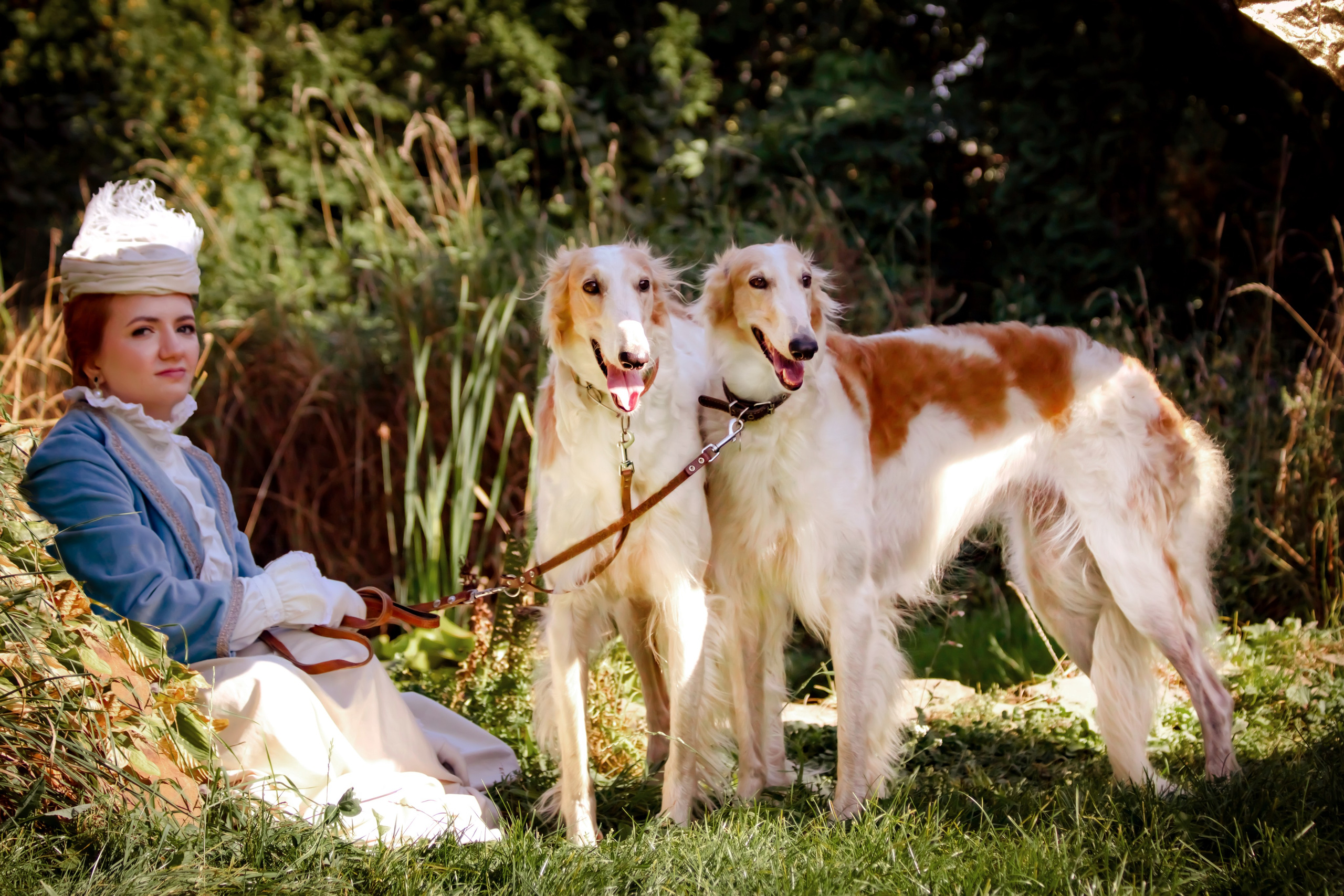 Фотосессия в Аванпост. Фотограф анималист — Тула, Москва