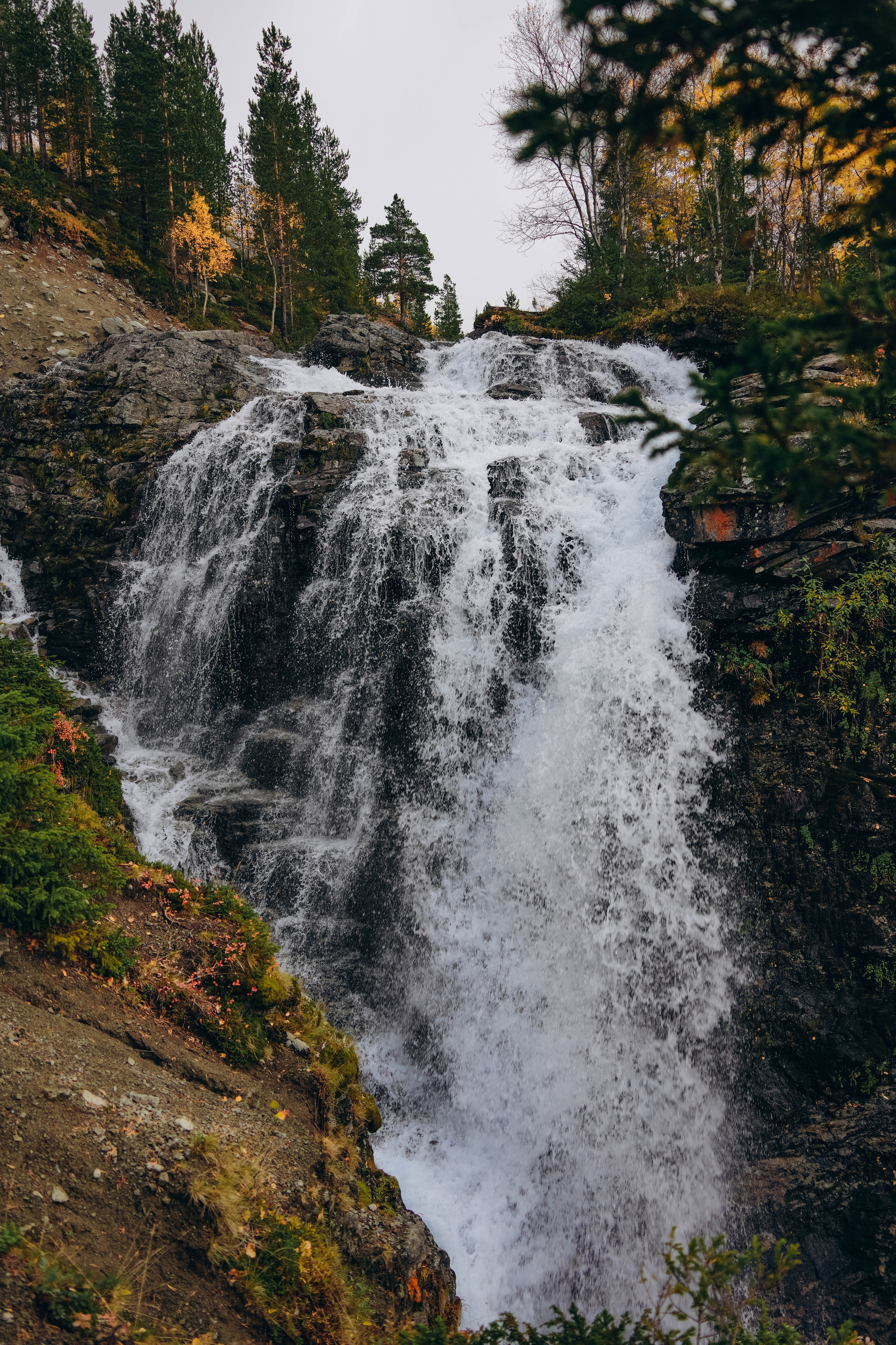 СЕВЕР. Event фотограф Степанова Александра
