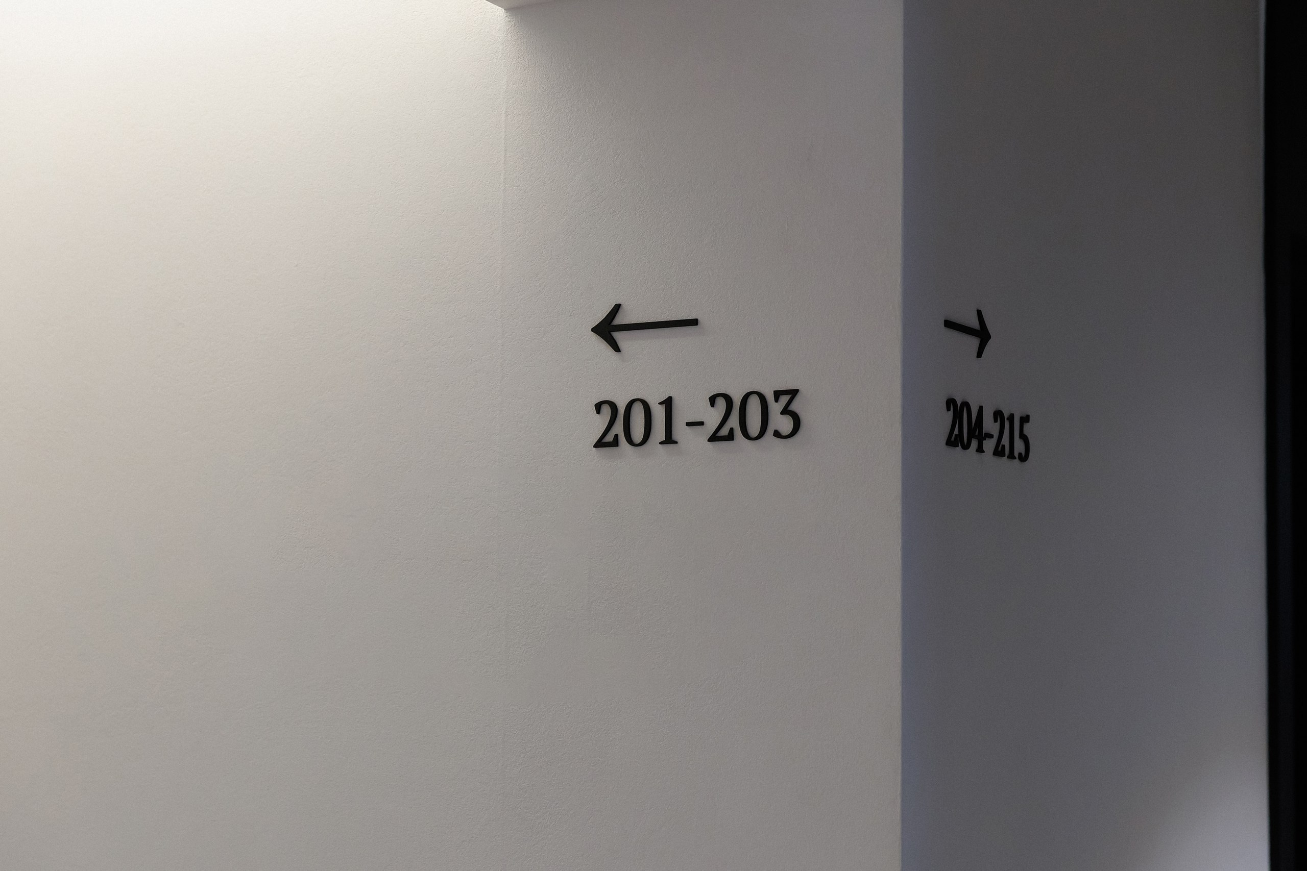 Дарья и Владимир. Свадебный фотограф в Пскове и Санкт-Петербурге | Анна Голикова