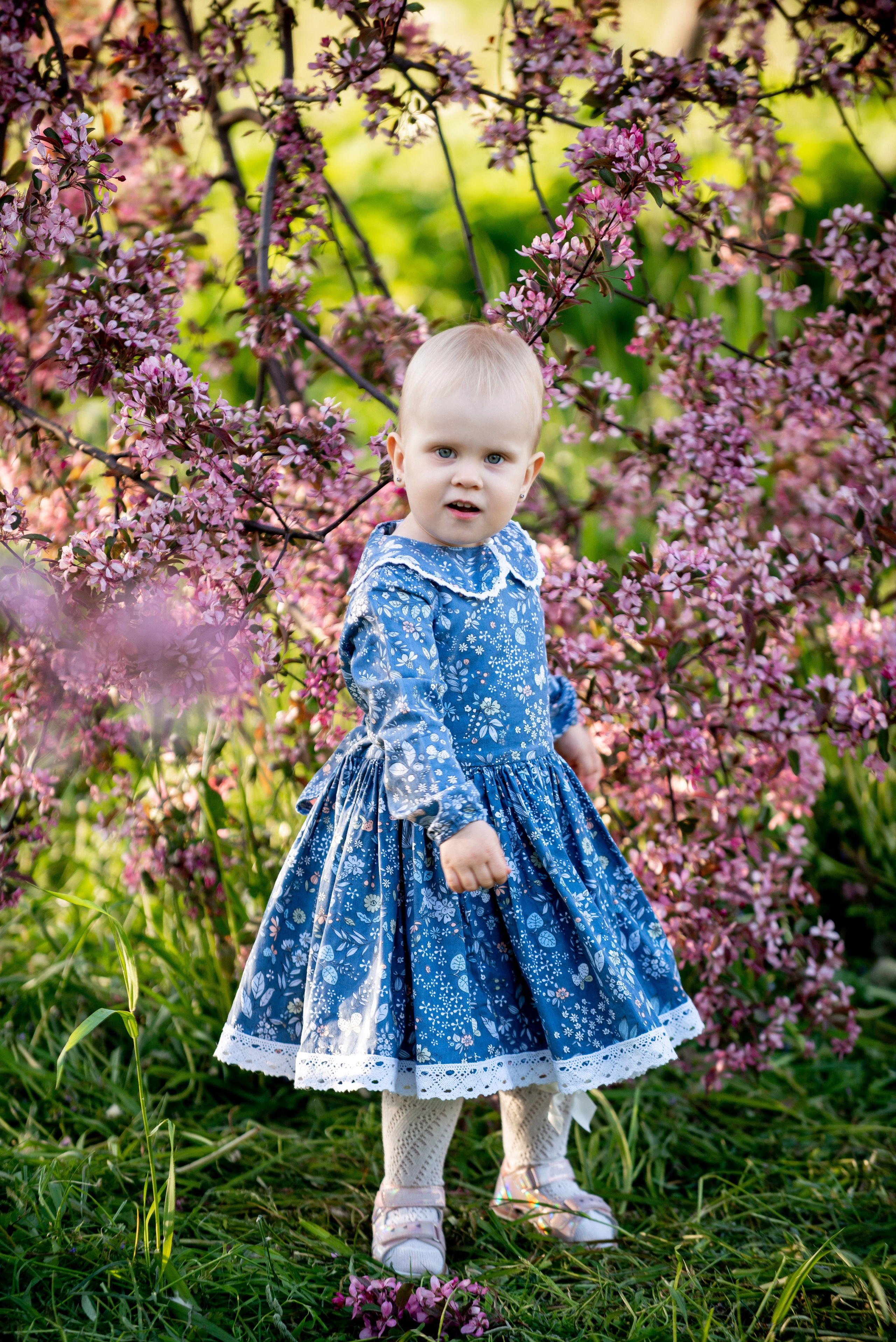 Ника и родители в розовых яблонях. Портретный, семейный и свадебный фотограф в Санкт-Петербурге и в Пушкине Ширяев Денис
