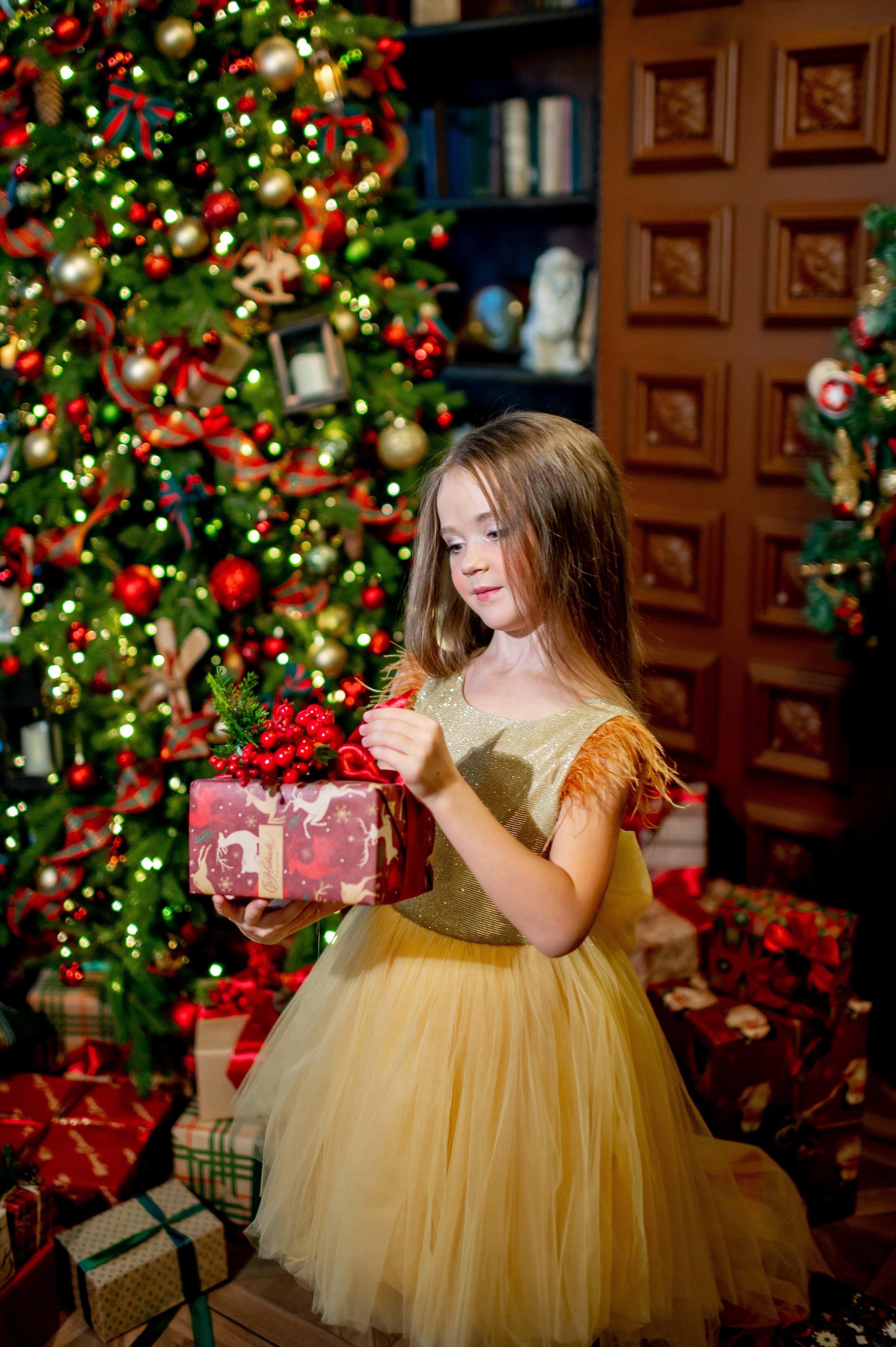 Новогодняя фотосессия в Leona Stage. Портретный, семейный и свадебный фотограф в Санкт-Петербурге и в Пушкине Ширяев Денис