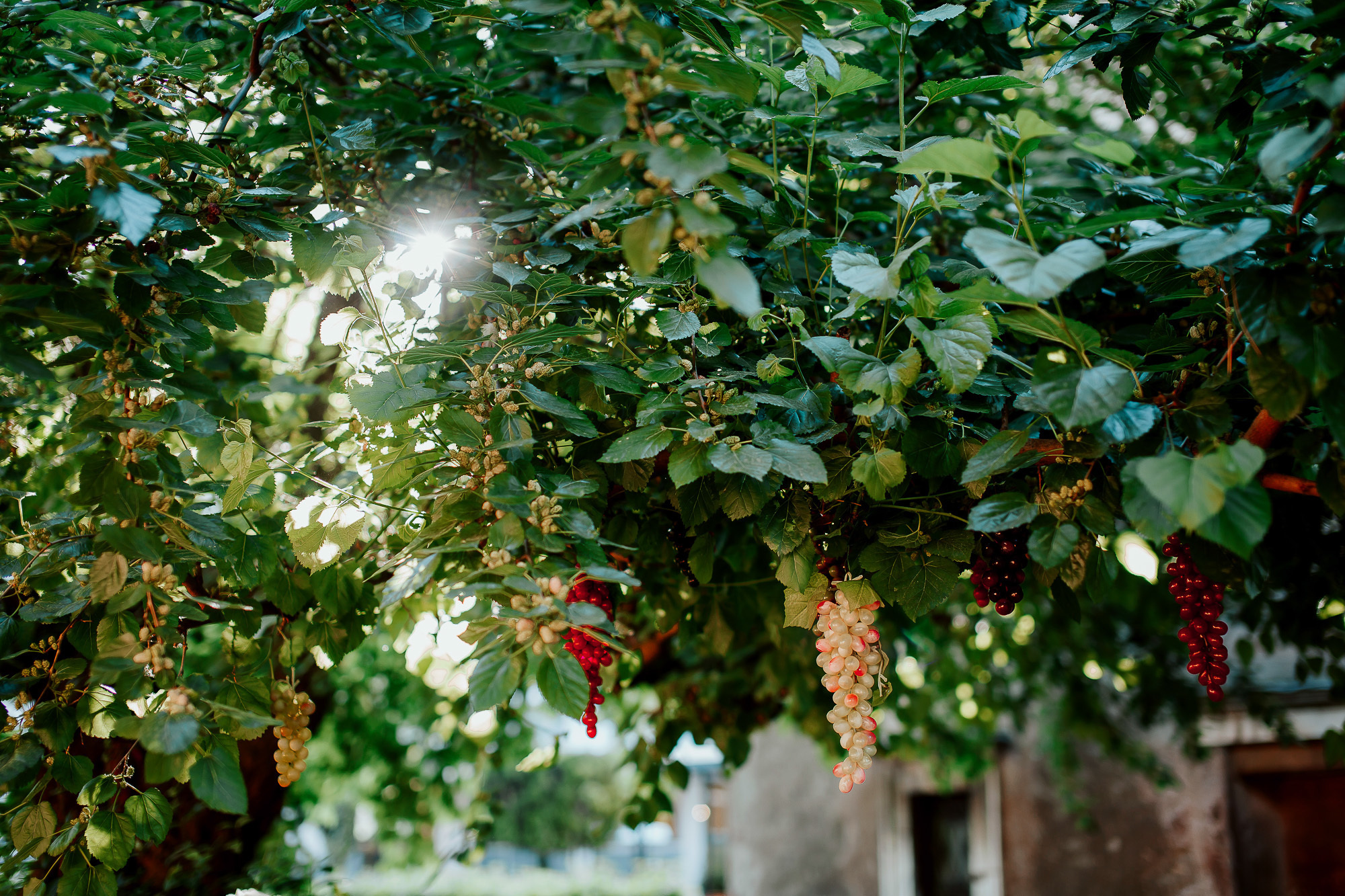 НИКОЛАЙ И АННА. СВАДЕБНЫЙ ФОТОГРАФ НАТАЛИКА