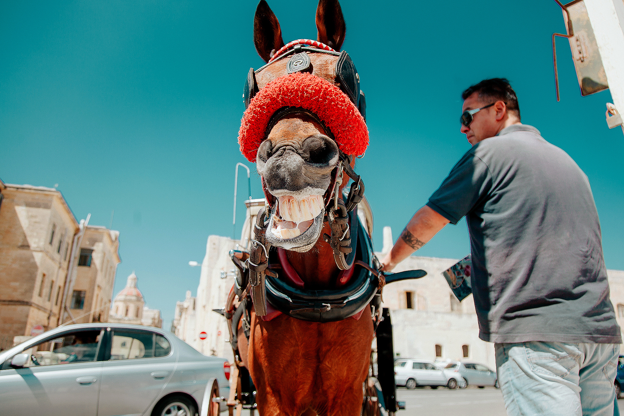 МАРТИН И СНЕЖАННА. СВАДЕБНЫЙ ФОТОГРАФ НАТАЛИКА