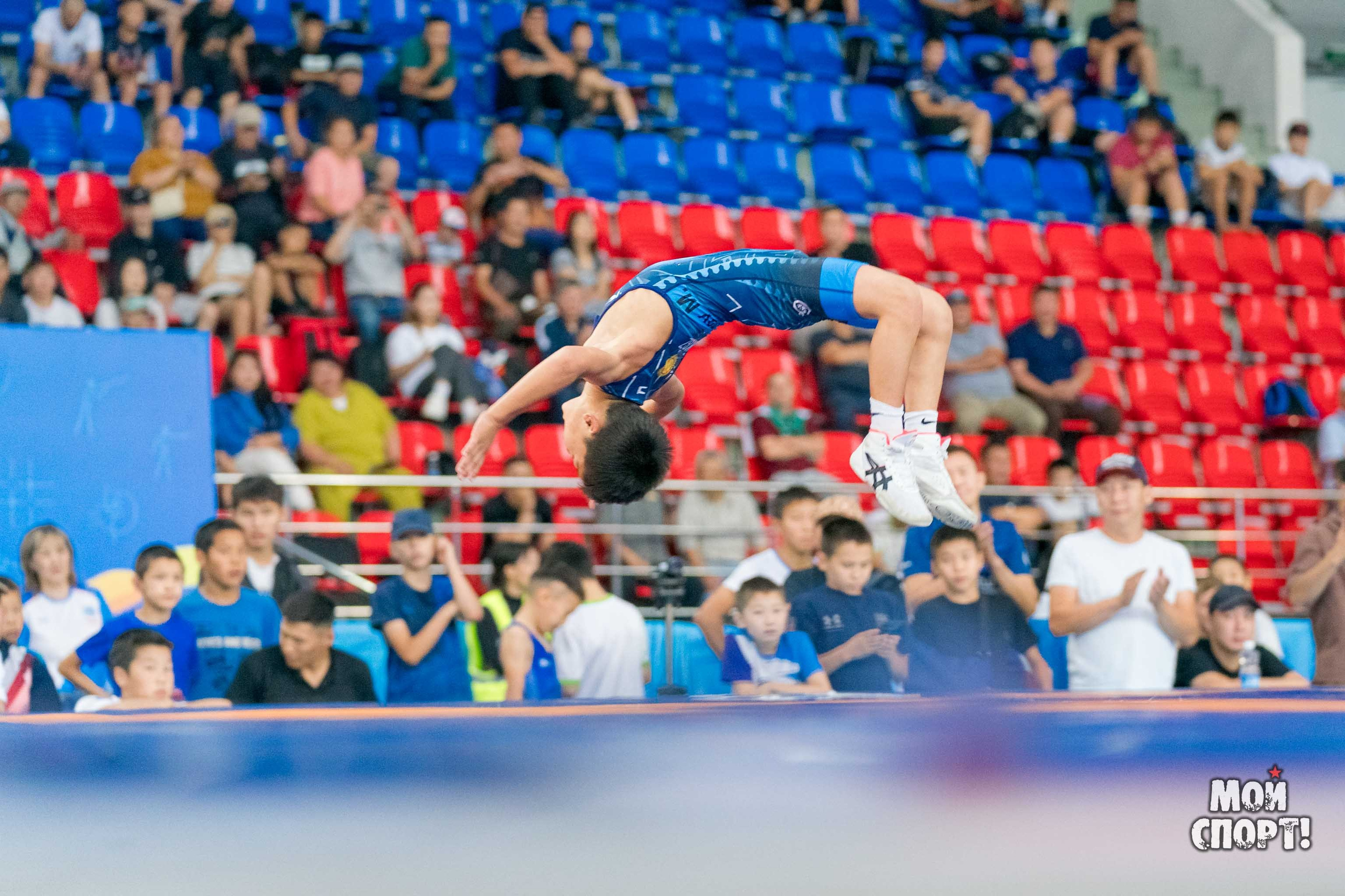 Соревнования по вольной борьбе в честь П. П. Пинигина. Студия «Мой Спорт!» — все о спорте в Якутии