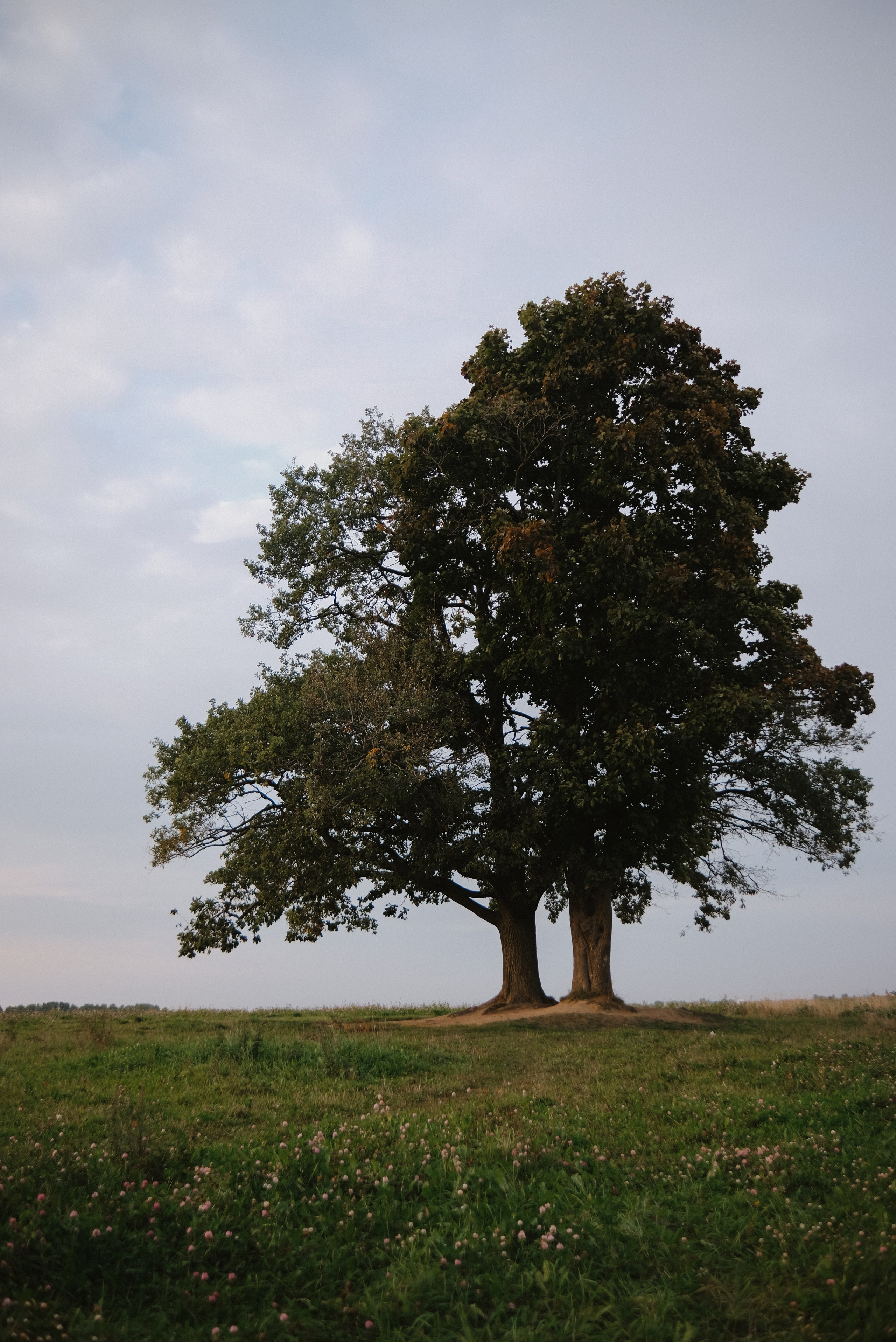 Альбом 11. Фотограф Катерина Мартьянова Санкт-Петербург