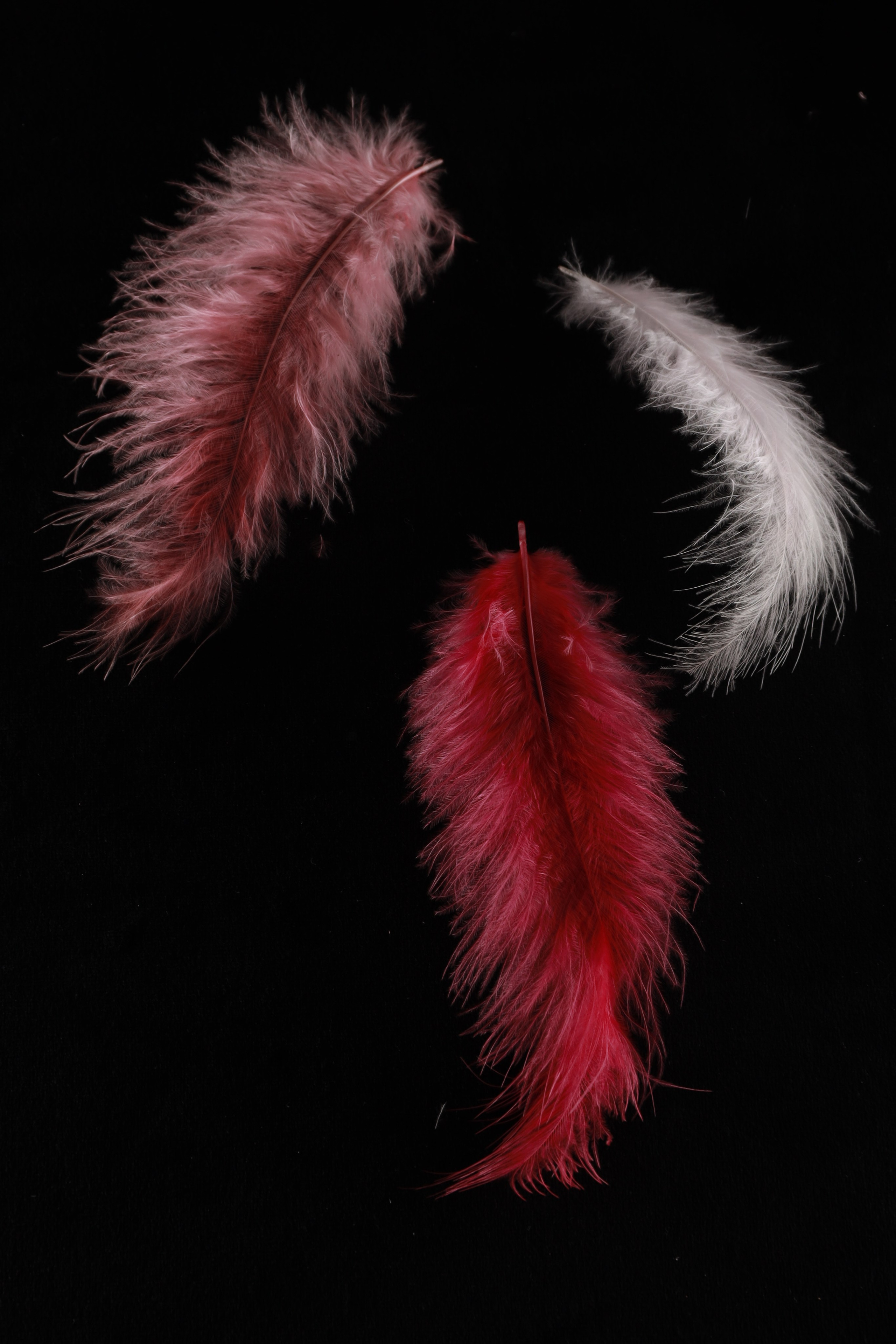 Предметная съемка. Фотограф Светлана Заплатина