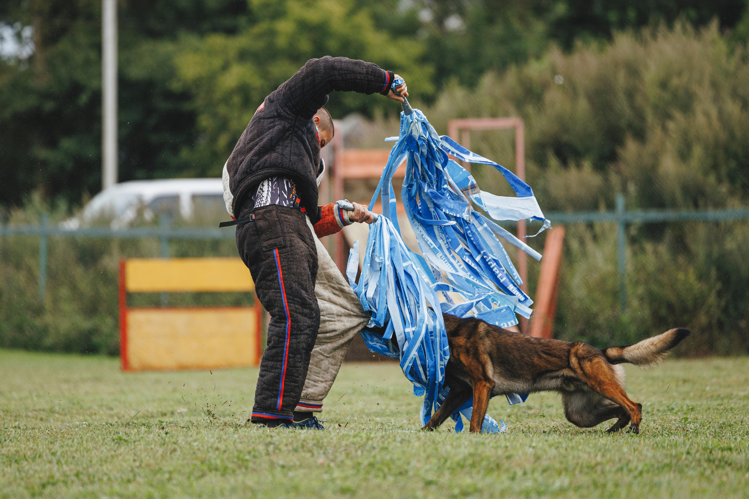 08.08.25-10.08.25 ЧР по мондьорингу г. Вологда. Фотограф-анималист Анна Маринич