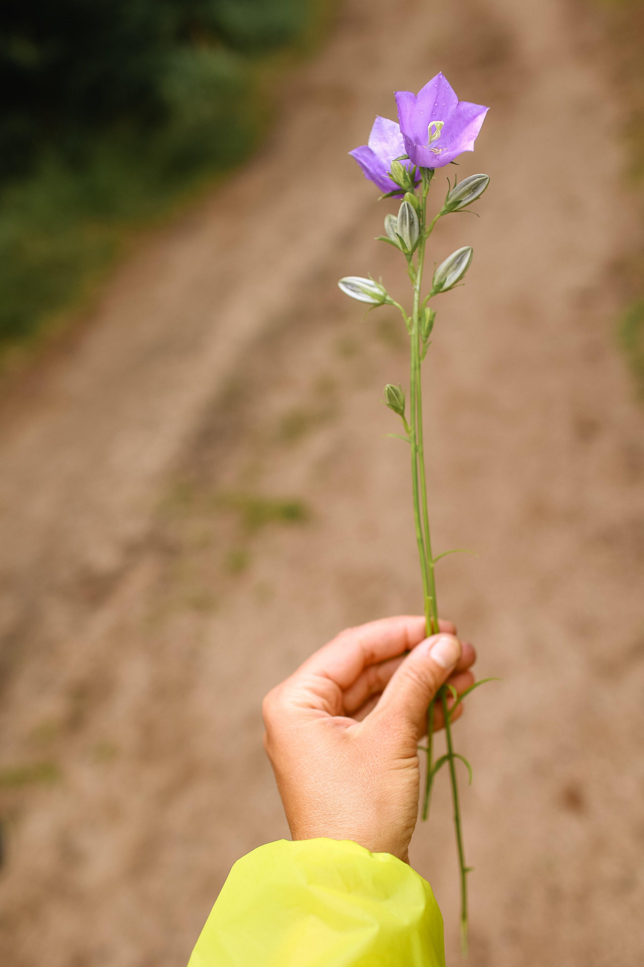 Фотографии семейного лагеря «Соприкосновение». Саша Кушнерова Фотографии. Sasha Kushnerova Photos