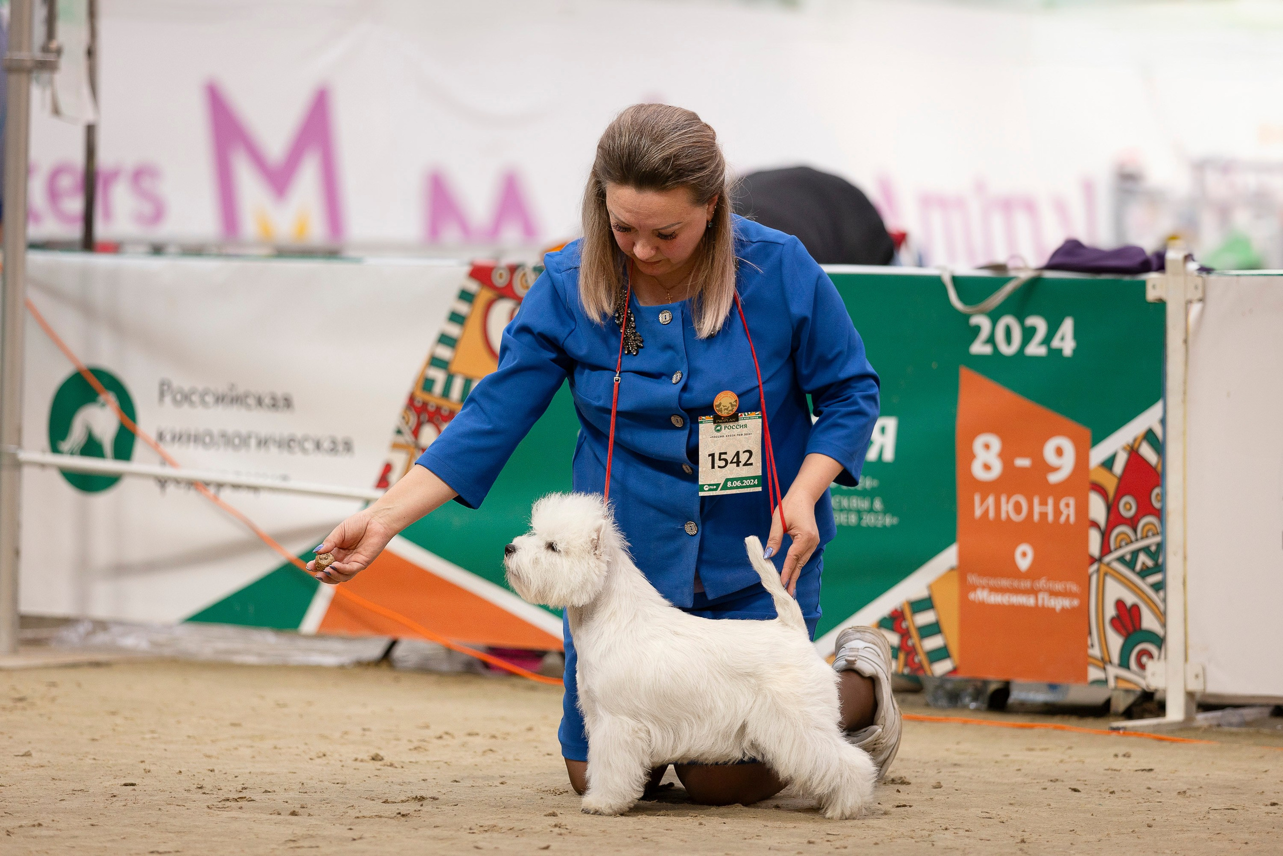 Россия 2024. Фотограф анималист, семейный фотограф, фотограф собак Комратова Мария. г. Москва