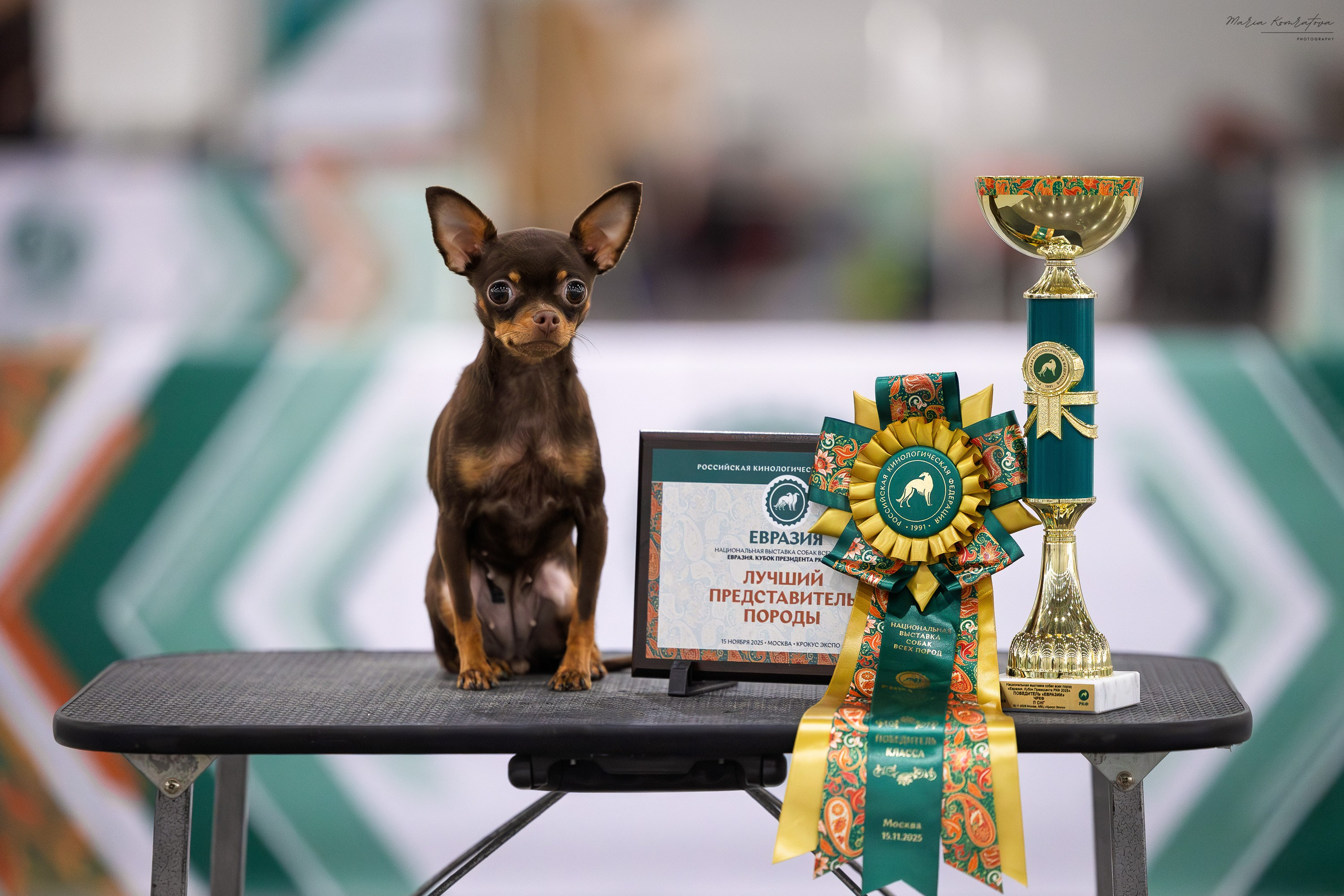 Фото на выставке русский той