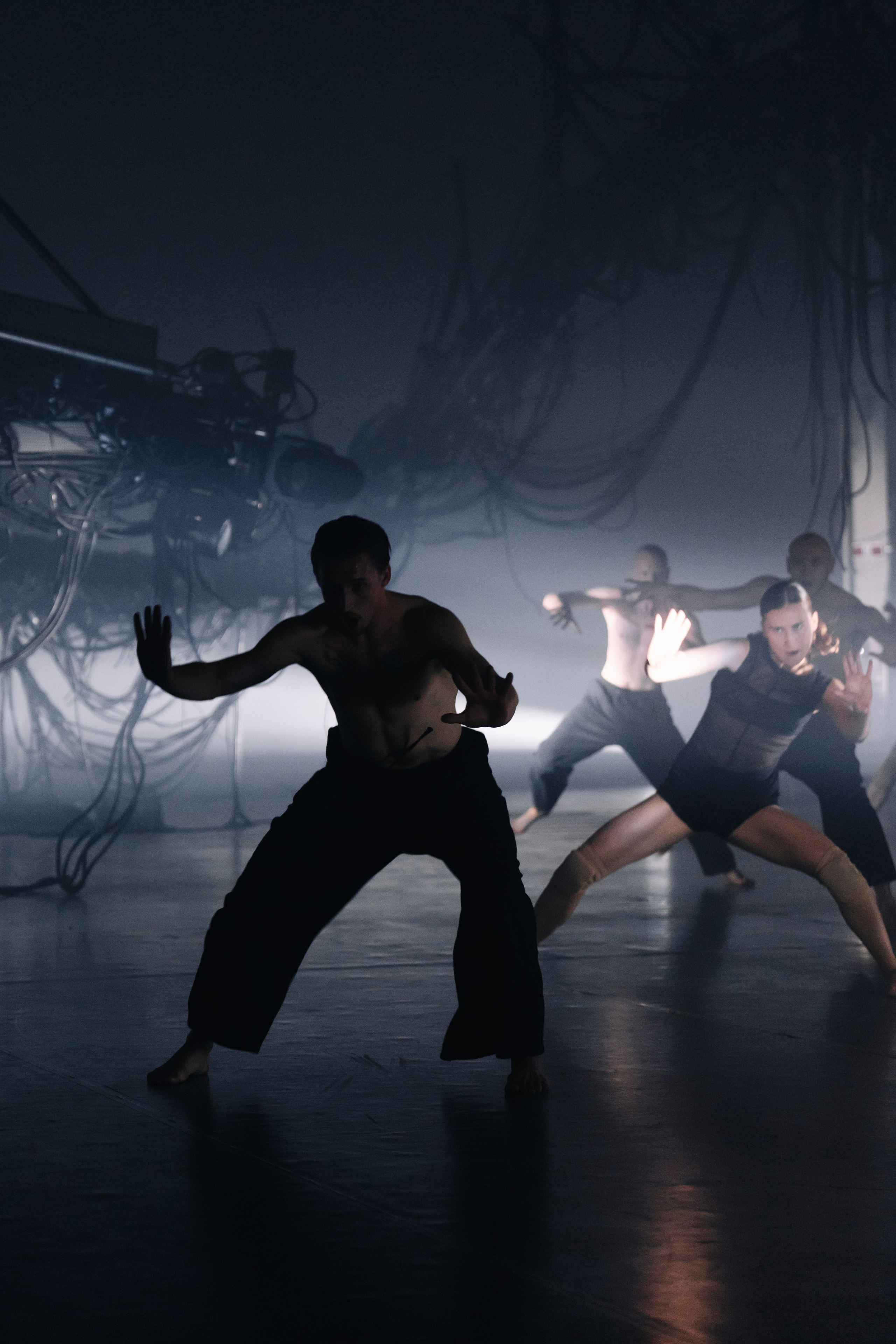 PERFORMA, The Hour of the Horse. @tomrus: Рустам Шагиморданов — фотограф