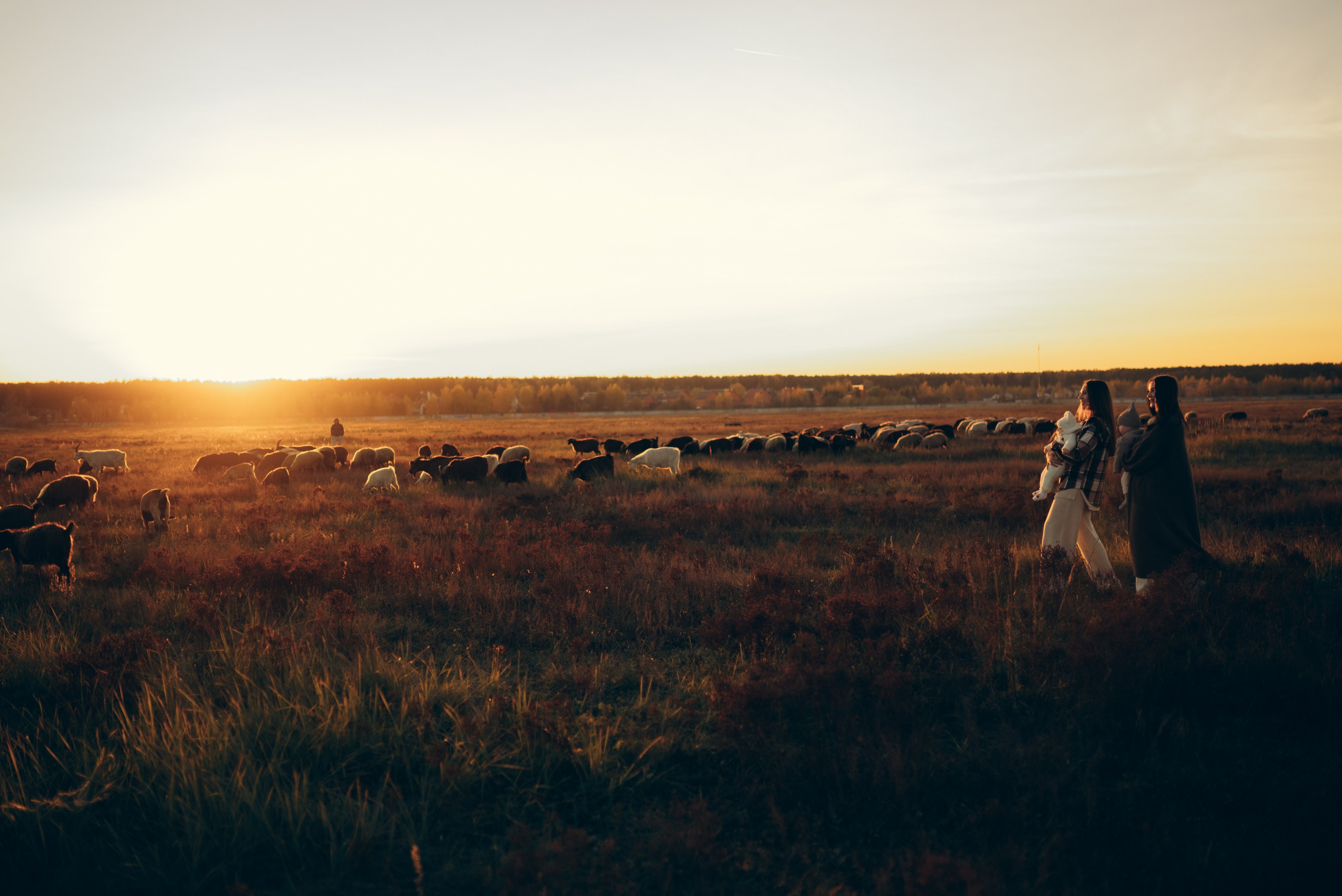 Встреча заката. Семейный и детский фотограф в Щелково Алена Дробот