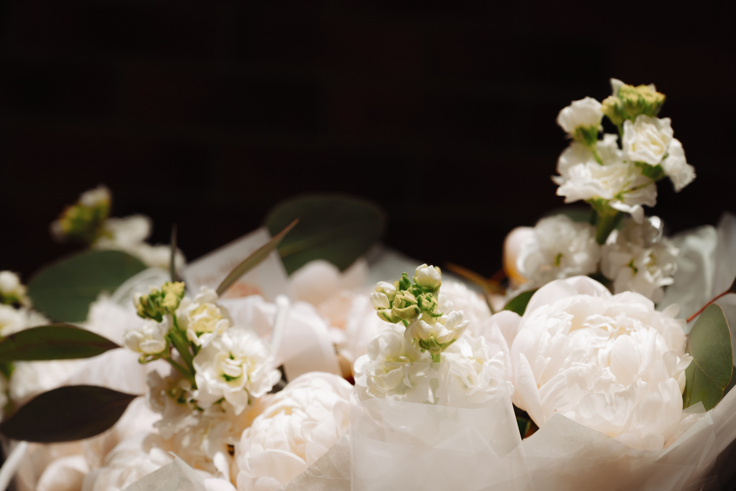 День рождения. ТАТИ | Татьяна Тихонова | фотограф | Тольятти Самара