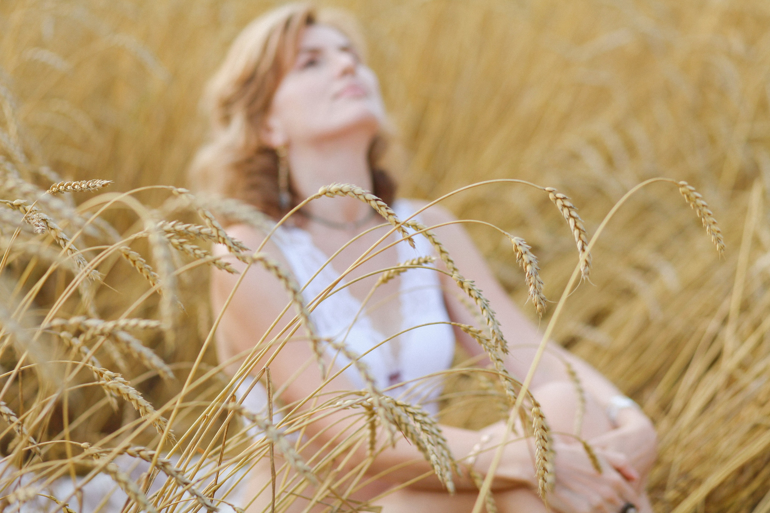 Рожь. Фотограф Дарья Локотко в Красноярске