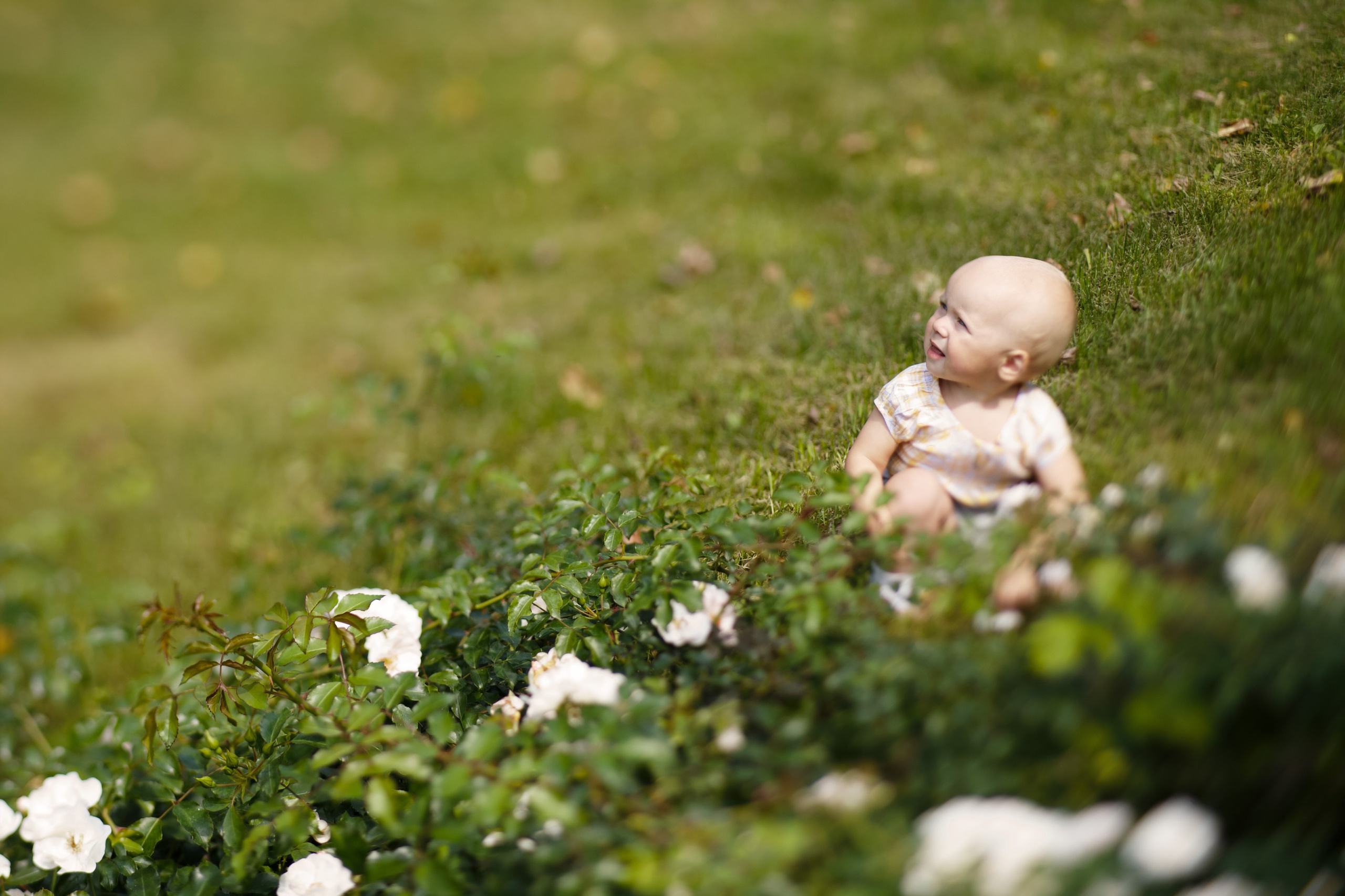 Прогулка малышки с мамой в парке. Фотографы в Москве Светлана Устинова и Сергей Грачев