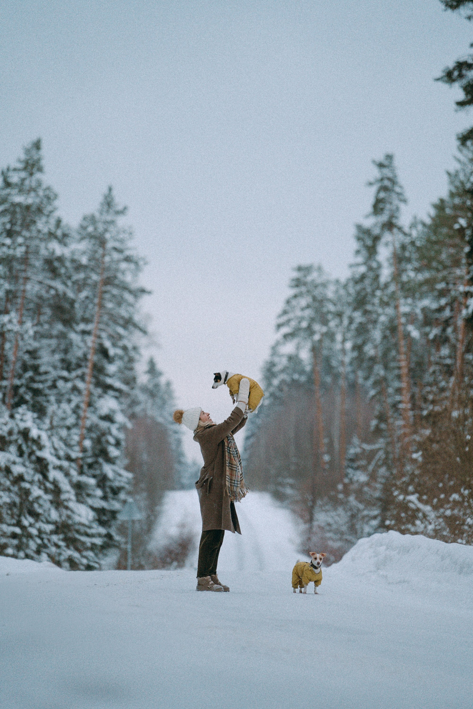 Алина, Ваниль и Элис. Фотограф анималист в Москве и Санкт-Петербурге Свиридова Анна