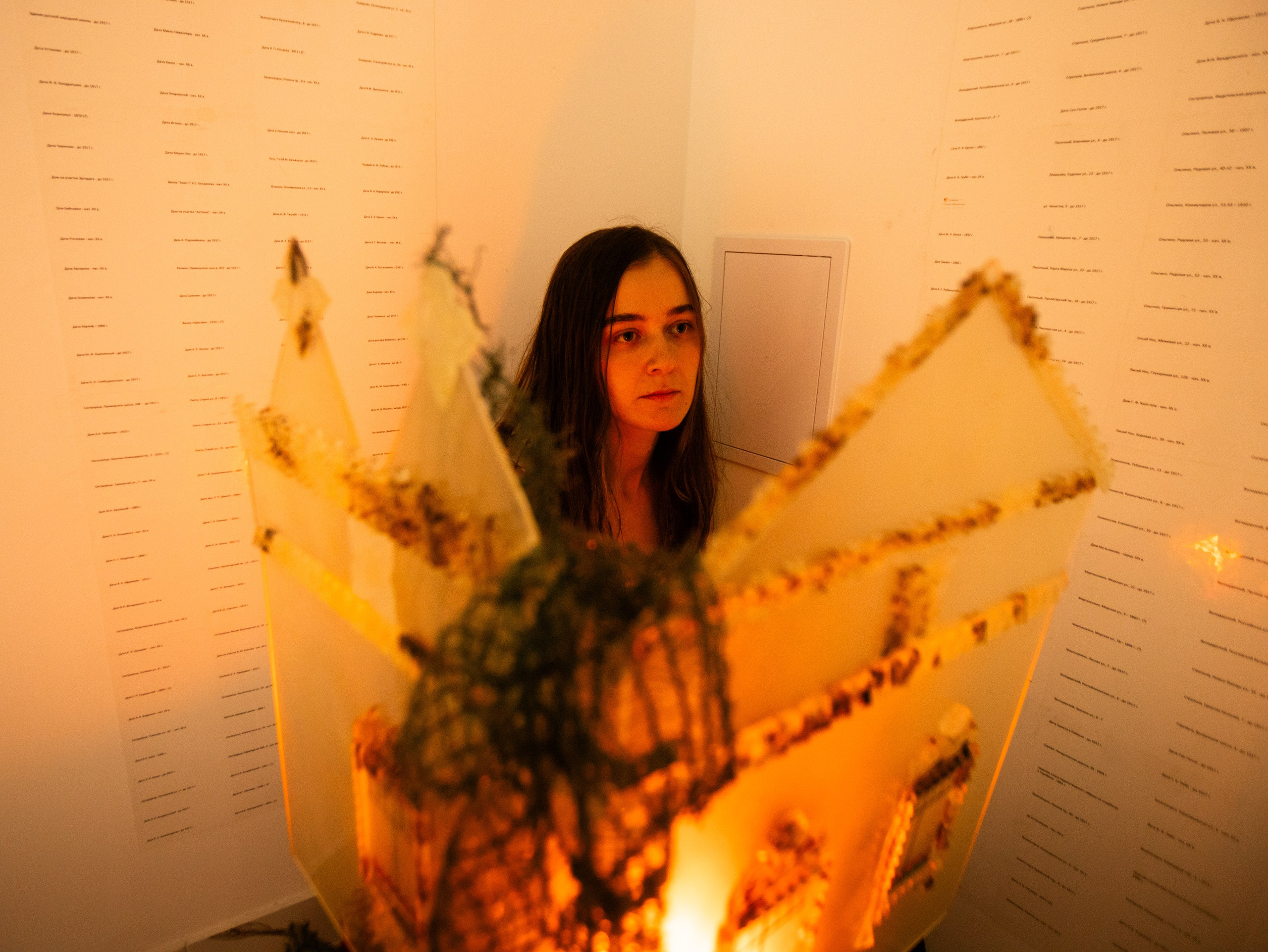 Выставка Ирины Иониной 2024. Фотограф Мария Немм