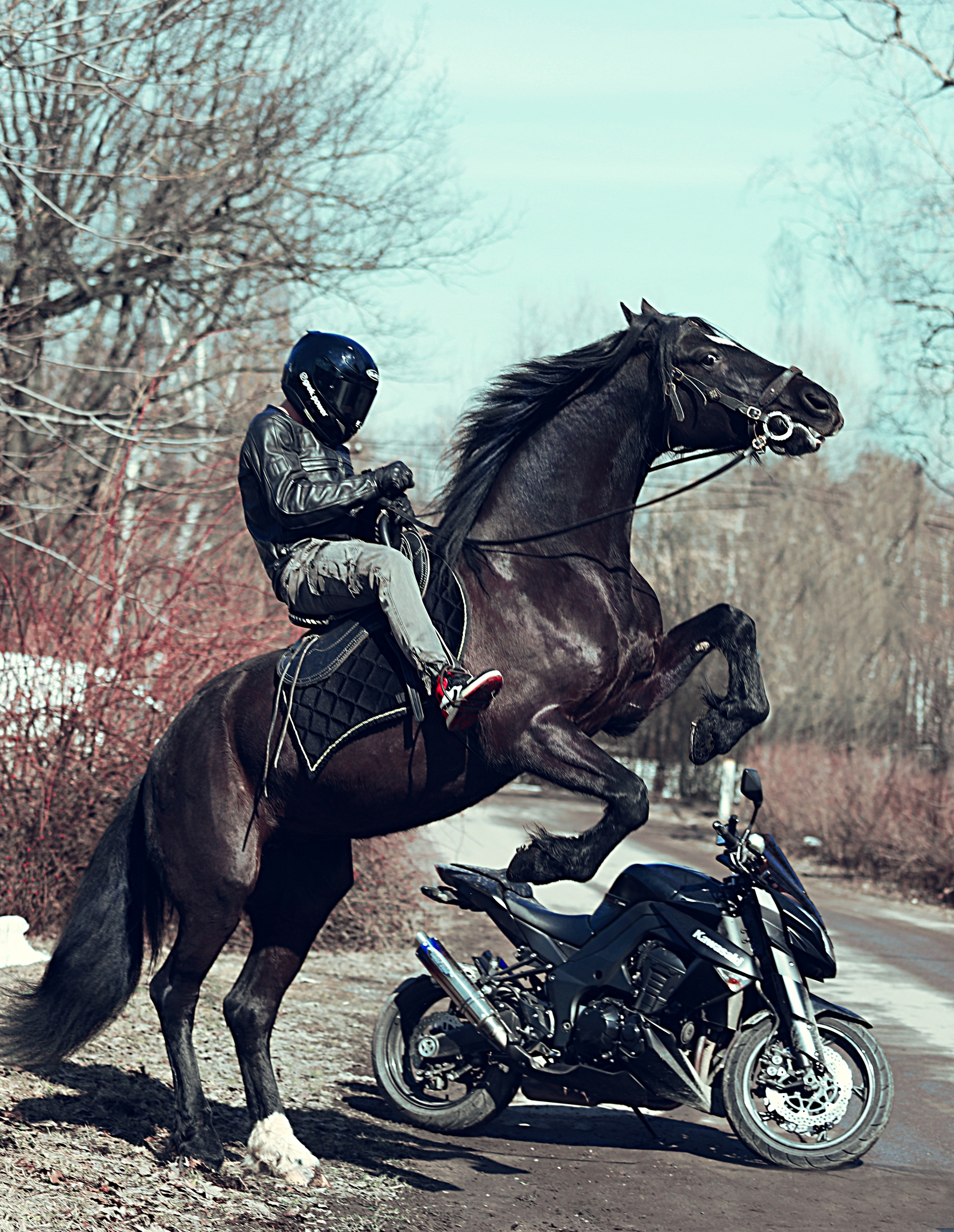 Фотосессии с лошадью. Фотосессия с лошадьми