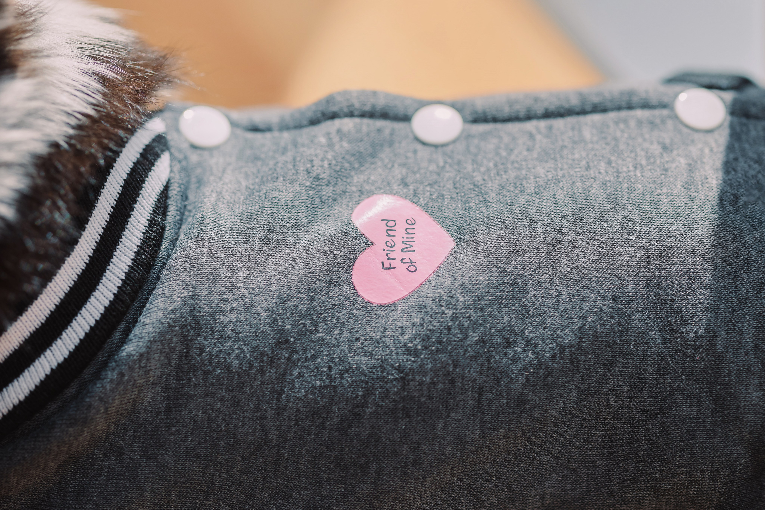 Магазин Friend of mine. Фотограф-анималист Елена Радченко, Москва