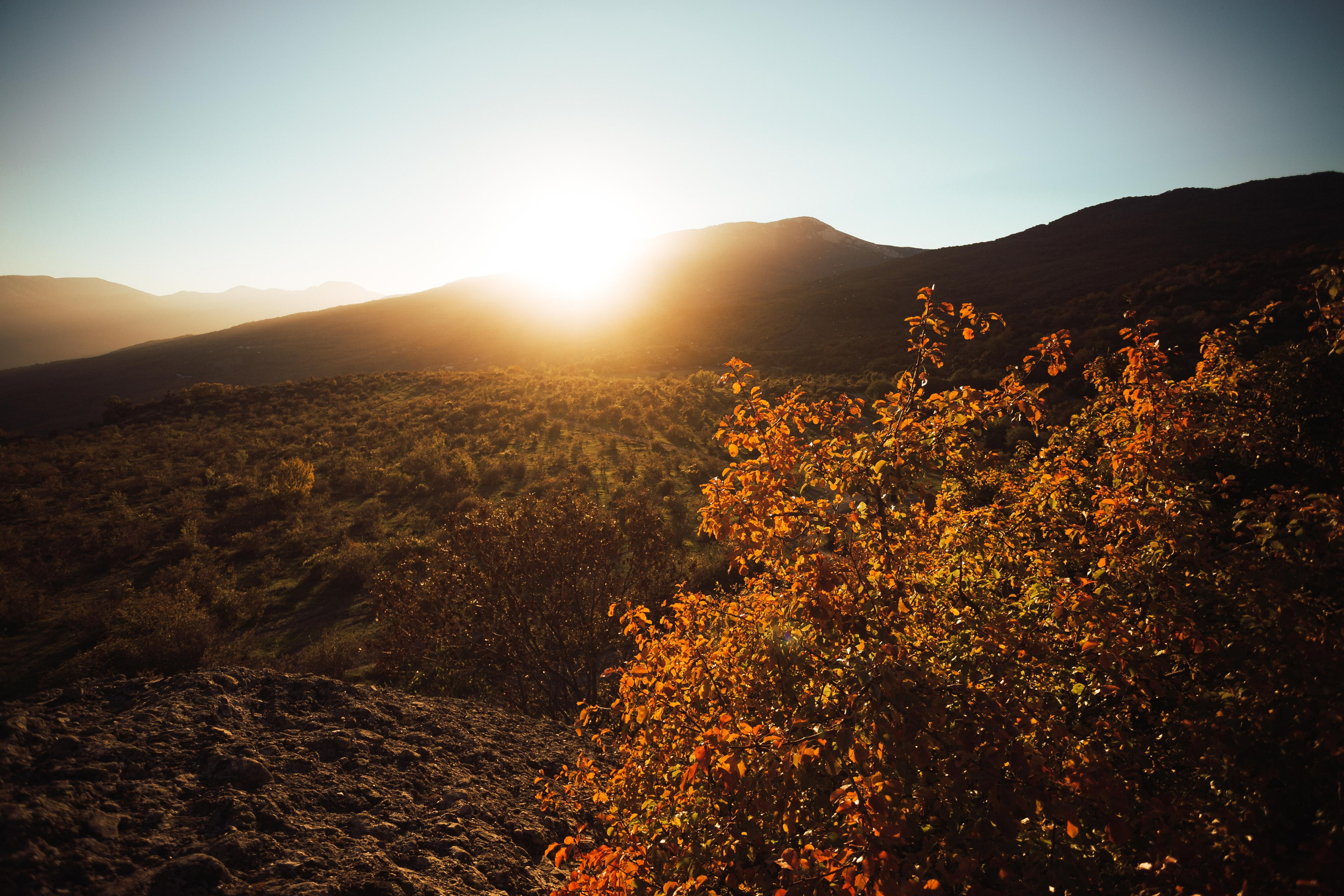 История одного путешествия. Семен Соколов