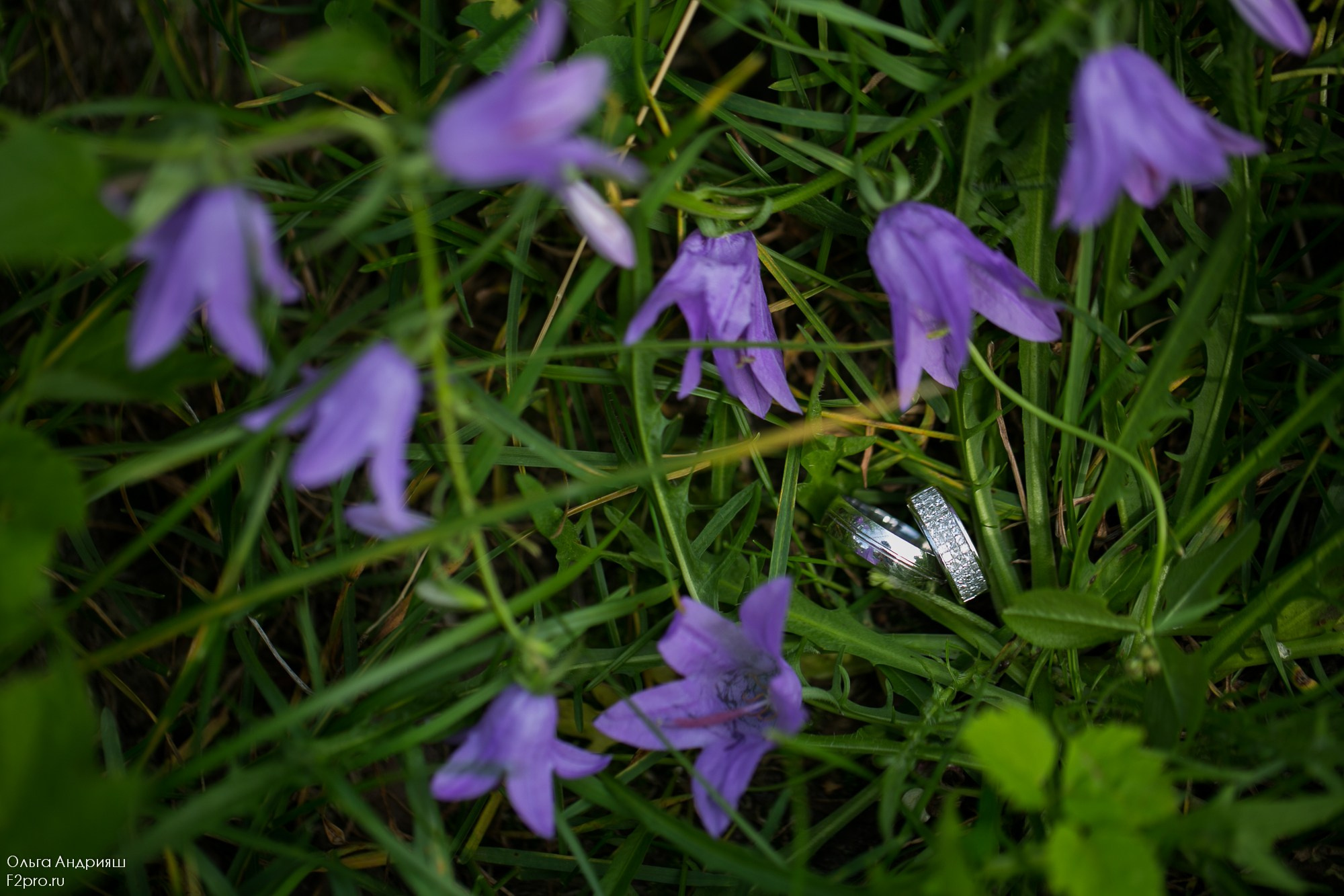 Нежность. Семейный, портретный и свадебный фотограф в Санкт-Петербурге и Москве