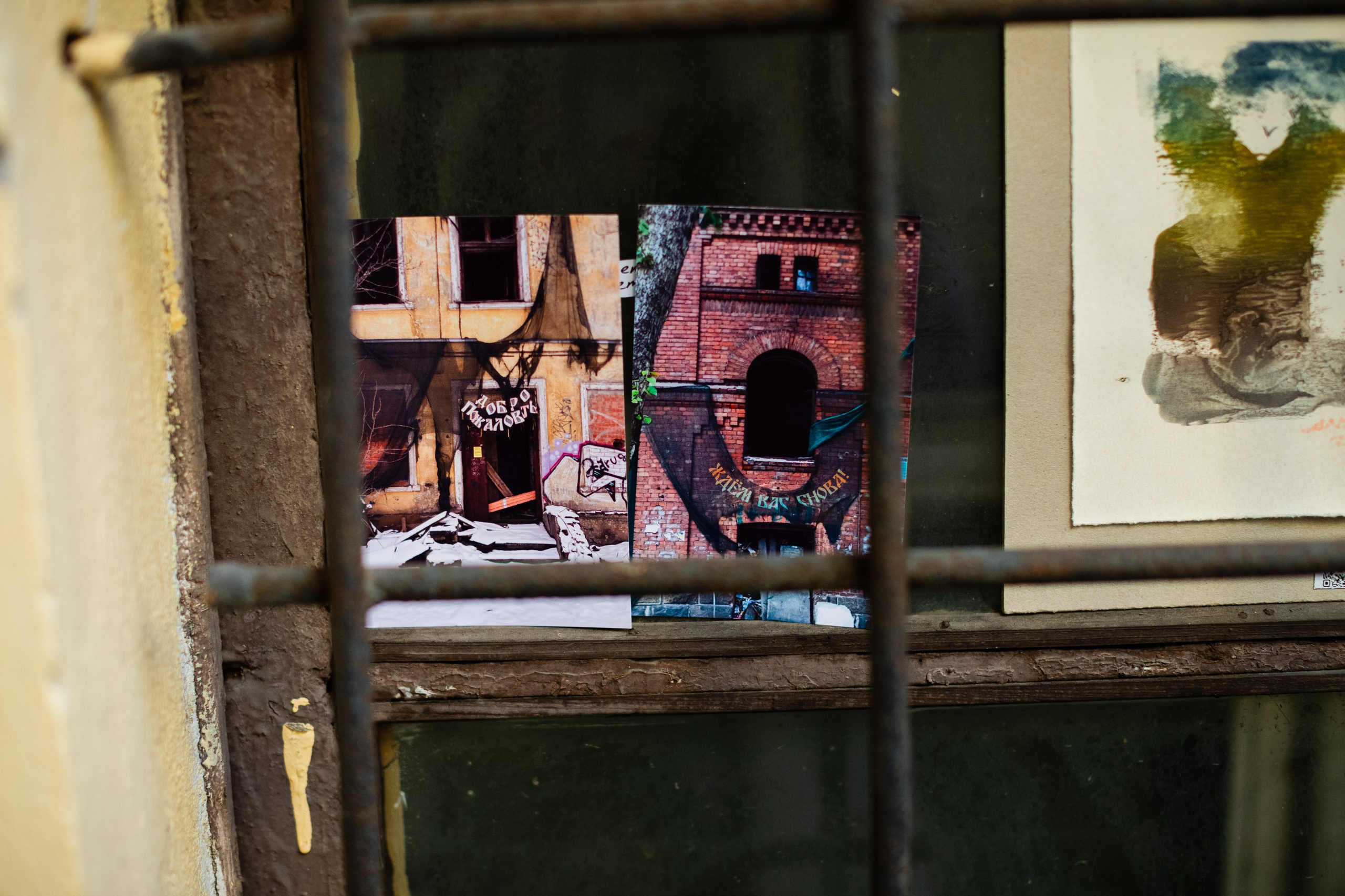 Выставка Ирины Иониной 2024. Фотограф Мария Немм