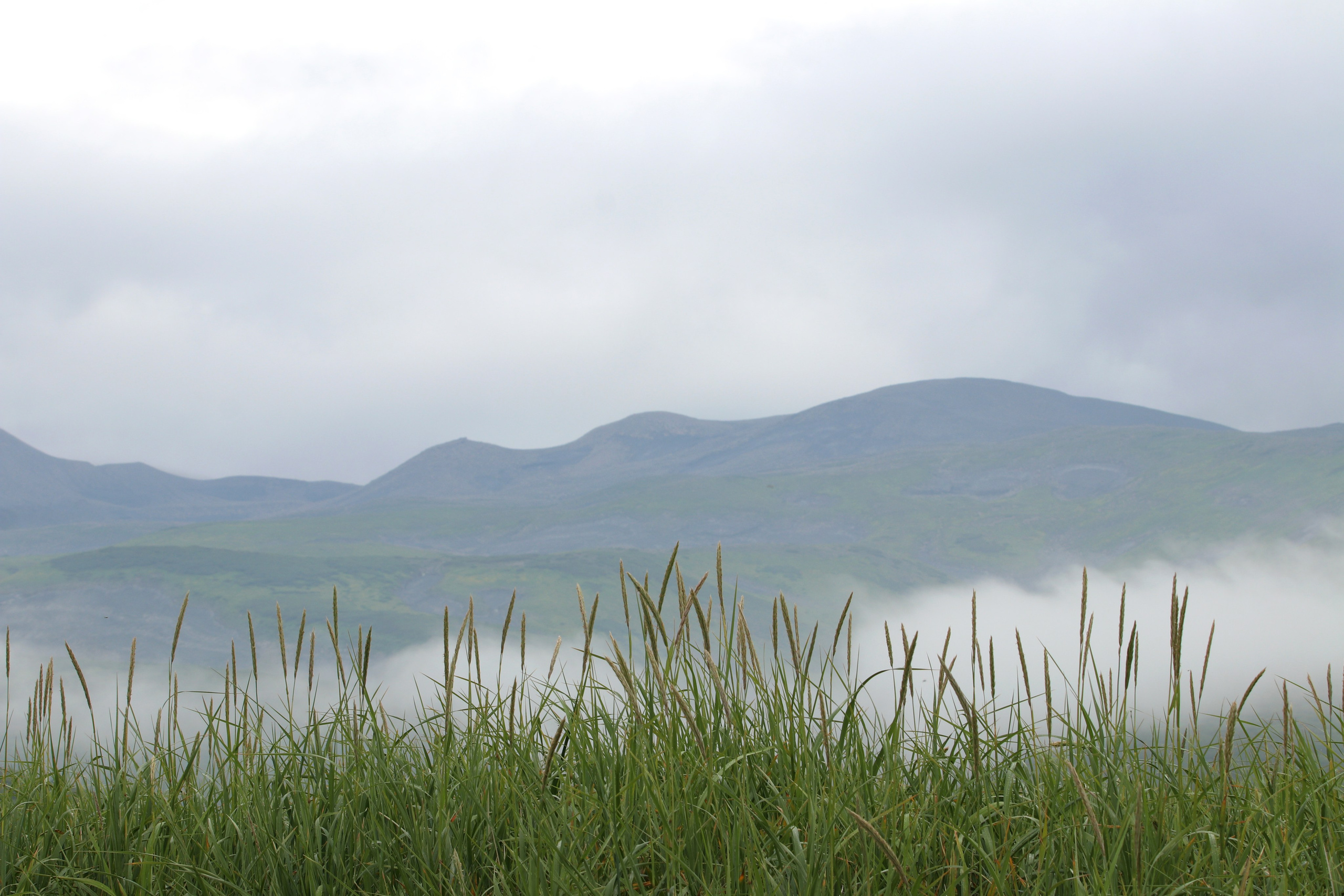 Камчатка и о. Парамушир. Июль 2024. Путешественник-фотограф из Санкт-Петербурга Татьяна Свистулина